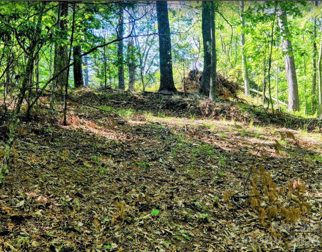 TBD Lucky Leaf LN, Vilas, NC 28692