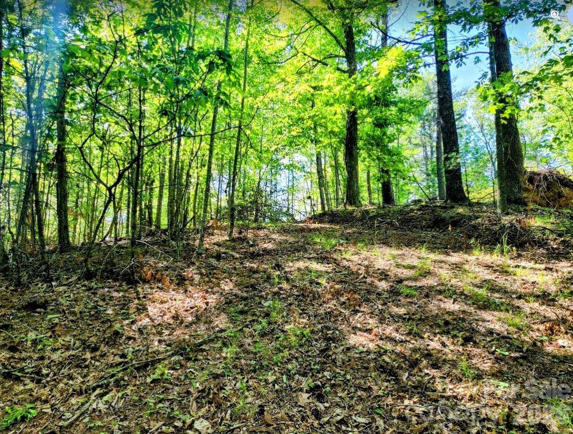 TBD Lucky Leaf LN, Vilas, NC 28692