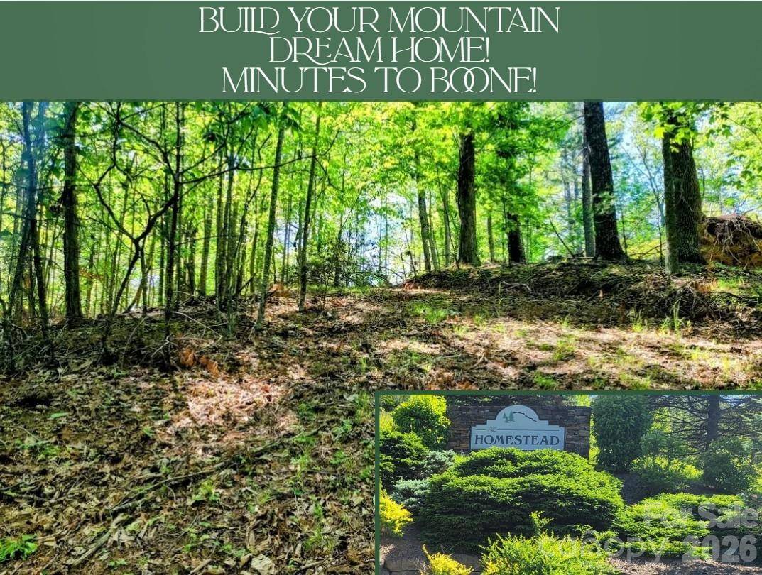 TBD Lucky Leaf LN, Vilas, NC 28692