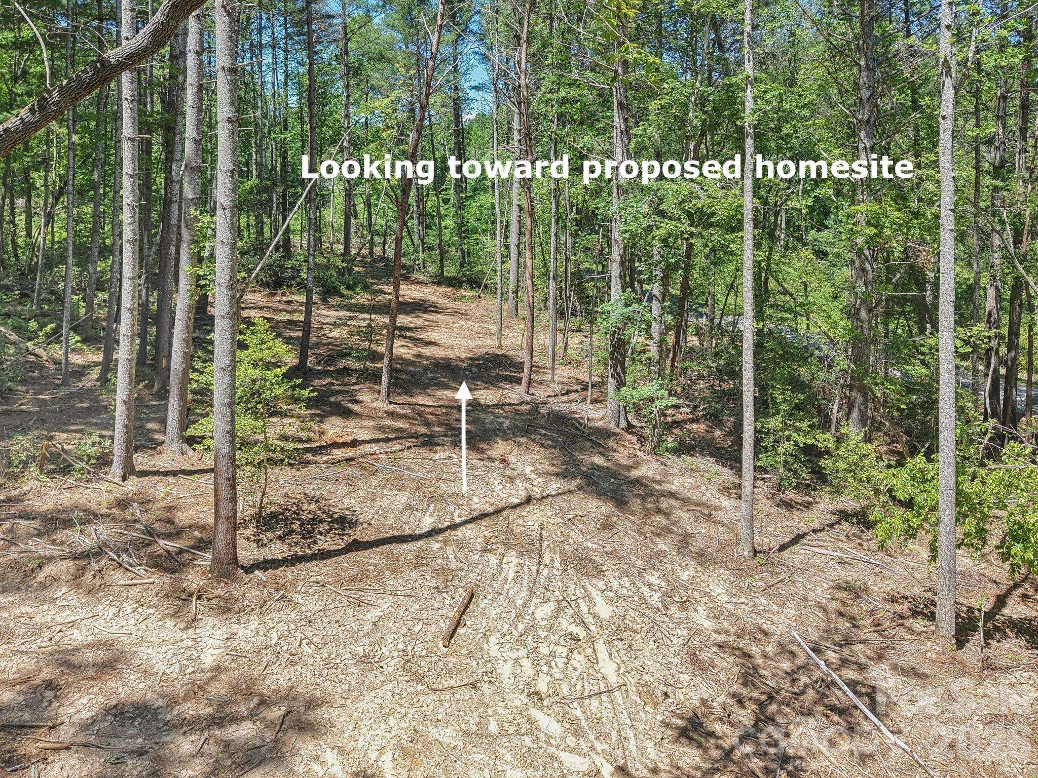 000 Ravenwood DR #6, Fletcher, NC 28732