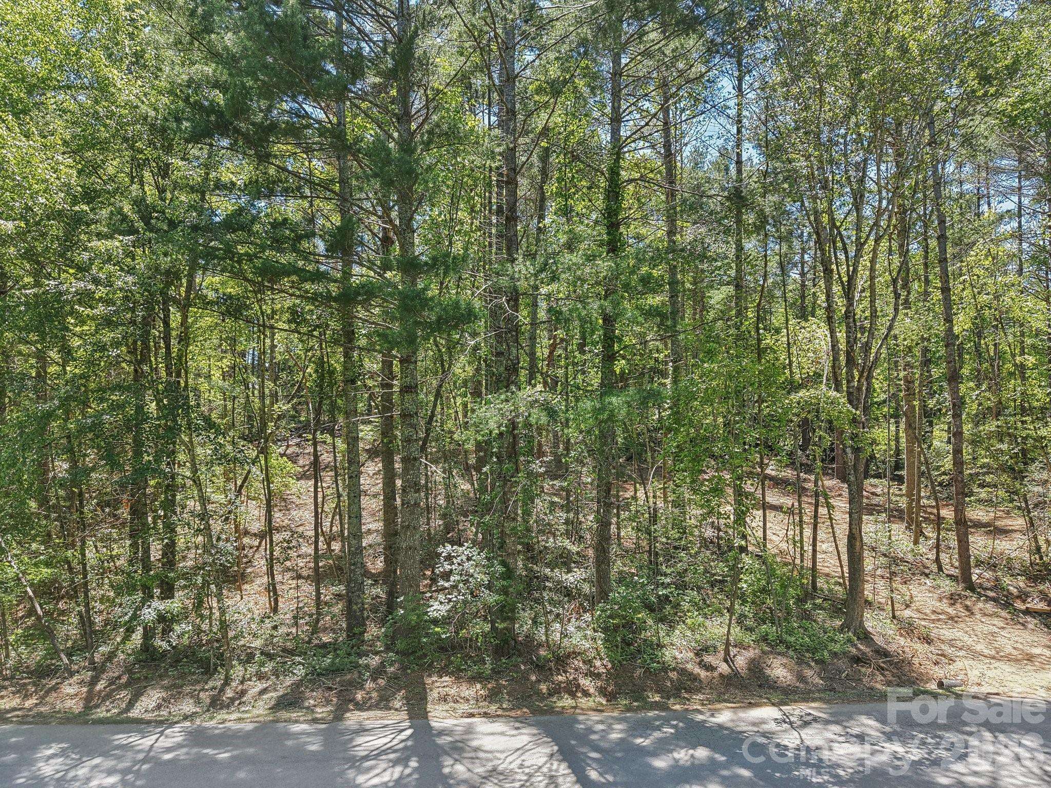 000 Ravenwood DR #6, Fletcher, NC 28732