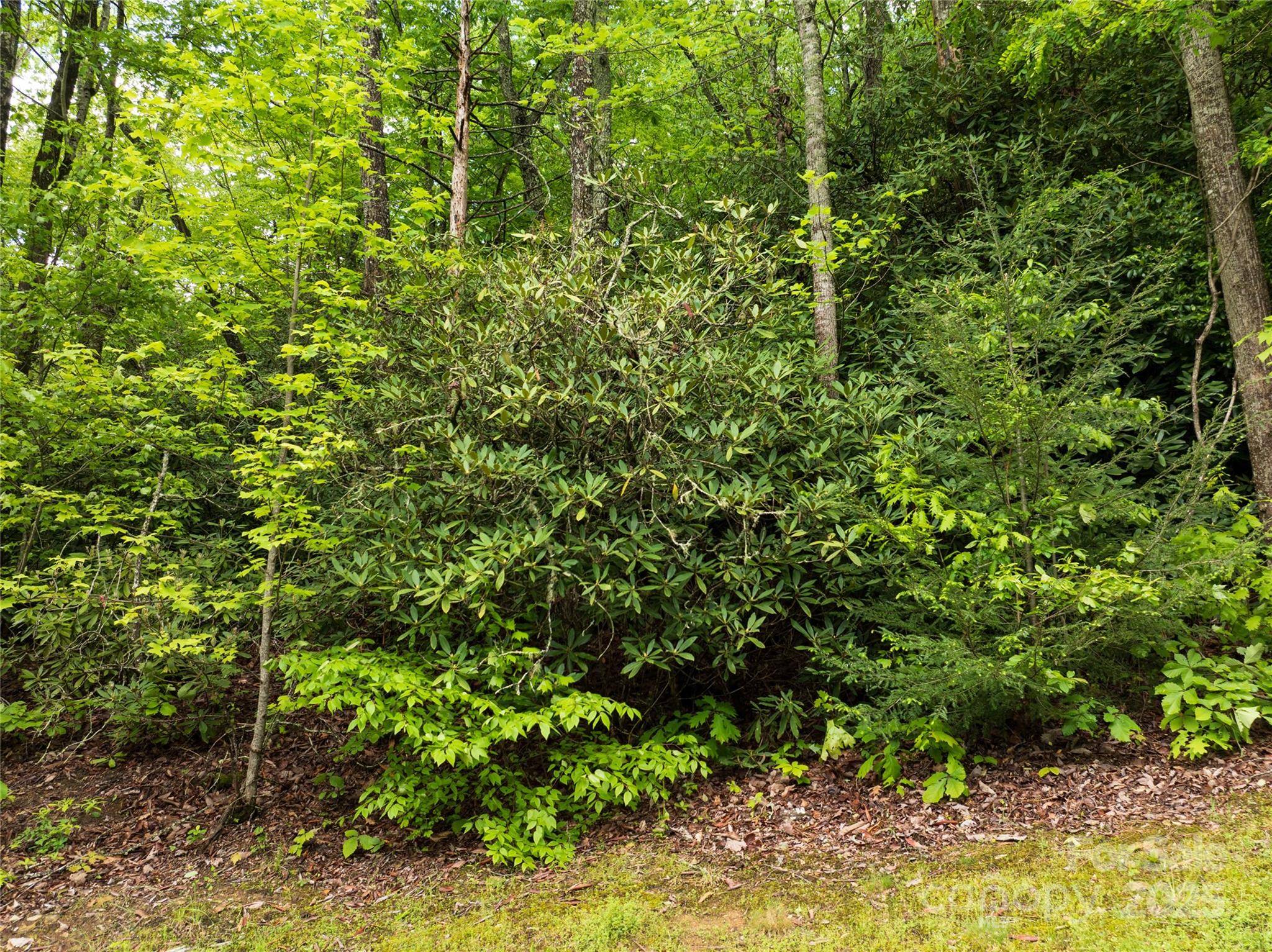 52 Settings BLVD, Black Mountain, NC 28711