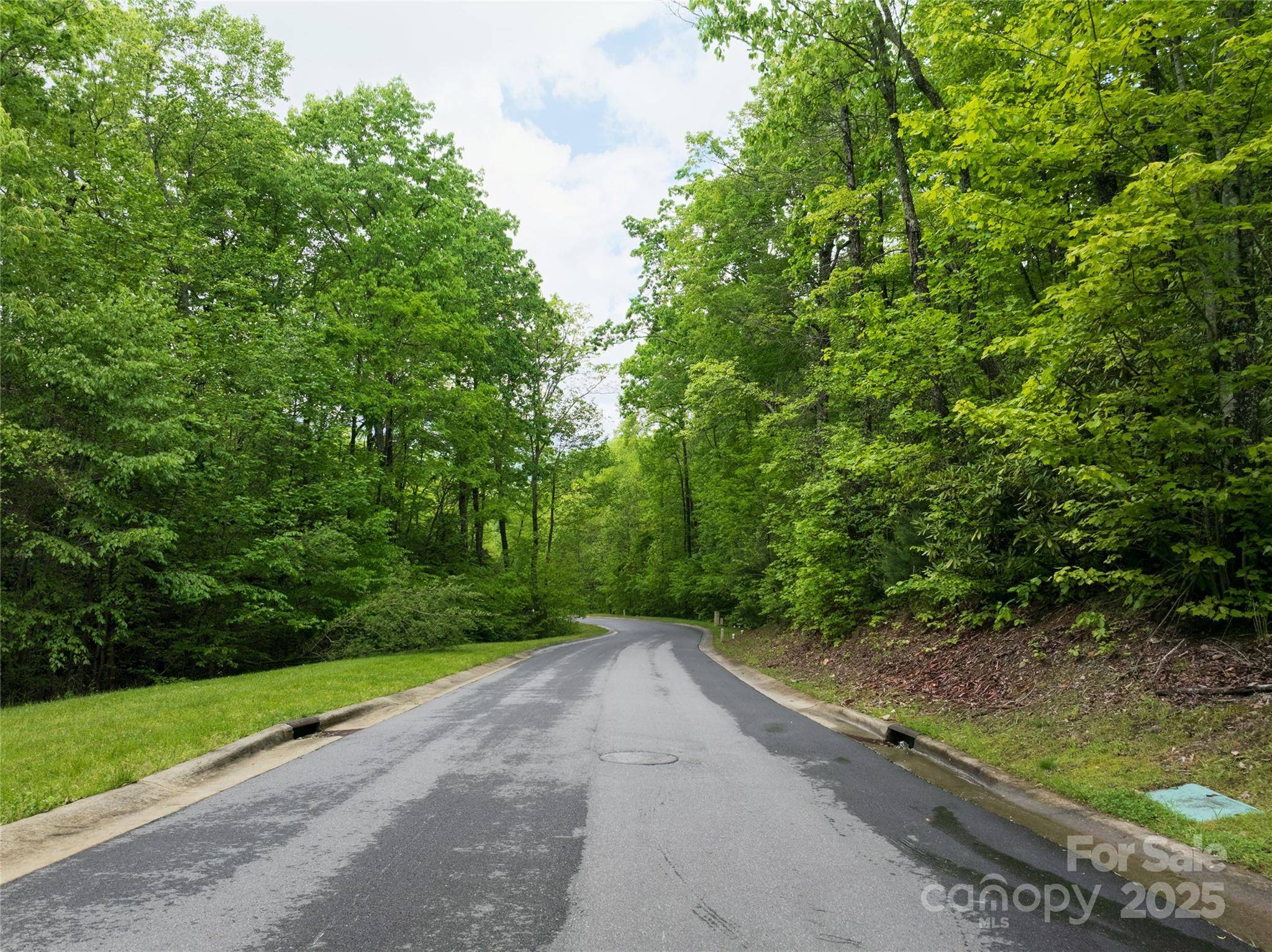 52 Settings BLVD, Black Mountain, NC 28711