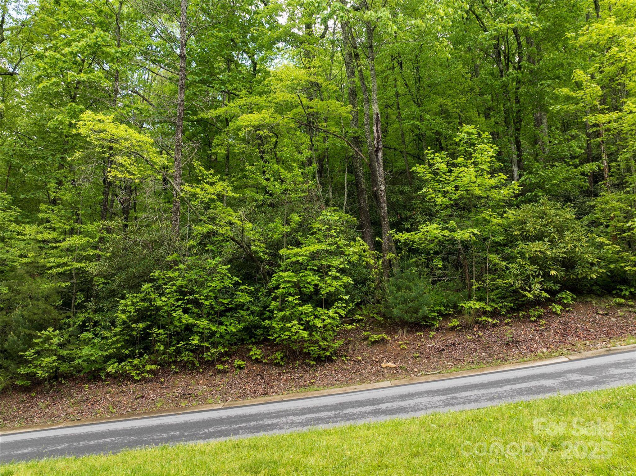 52 Settings BLVD, Black Mountain, NC 28711