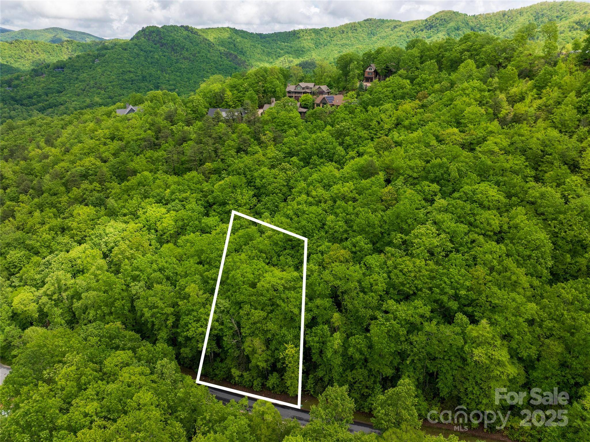 52 Settings BLVD, Black Mountain, NC 28711