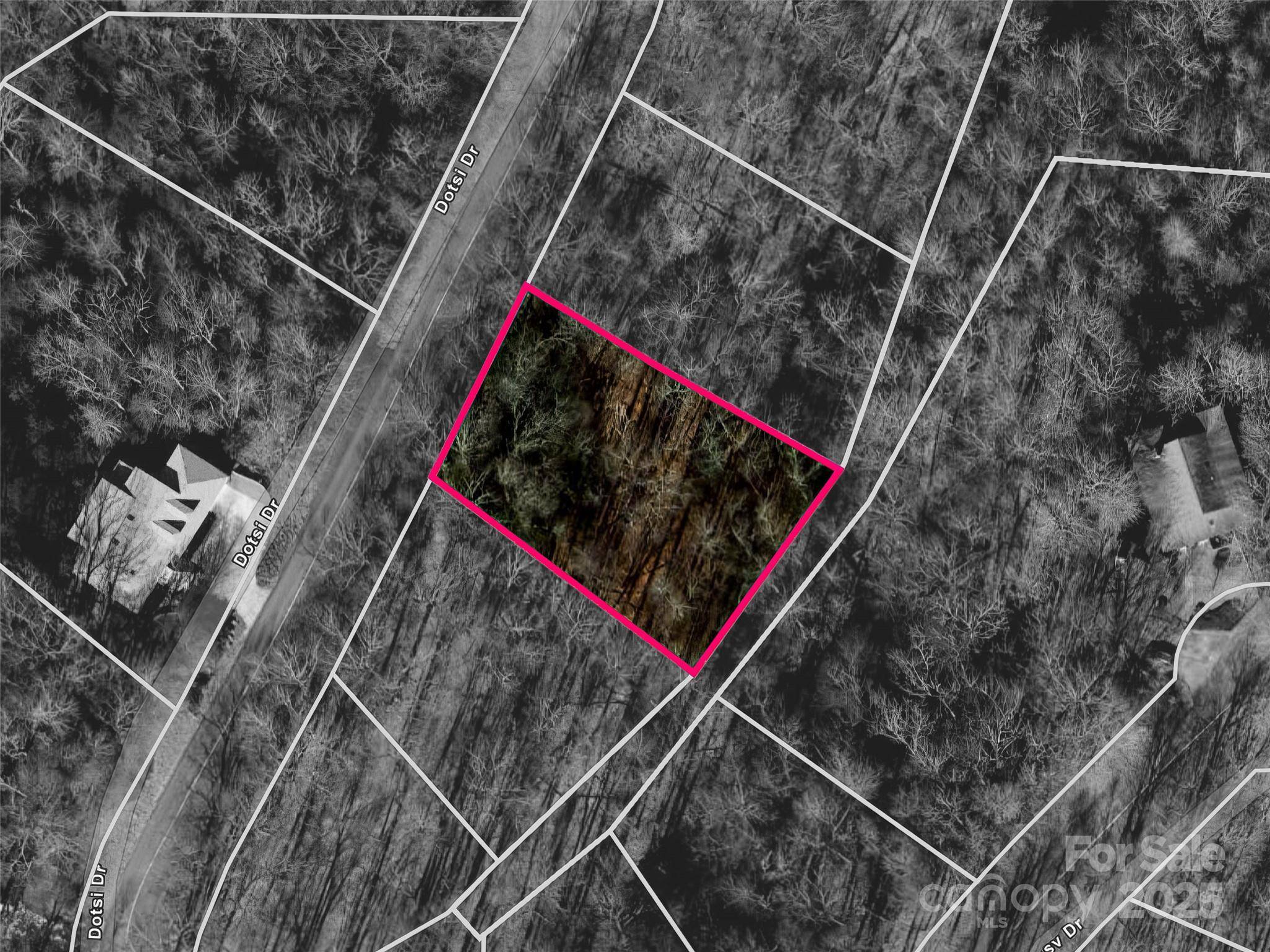 0000 Dotsi DR, Brevard, NC 28712