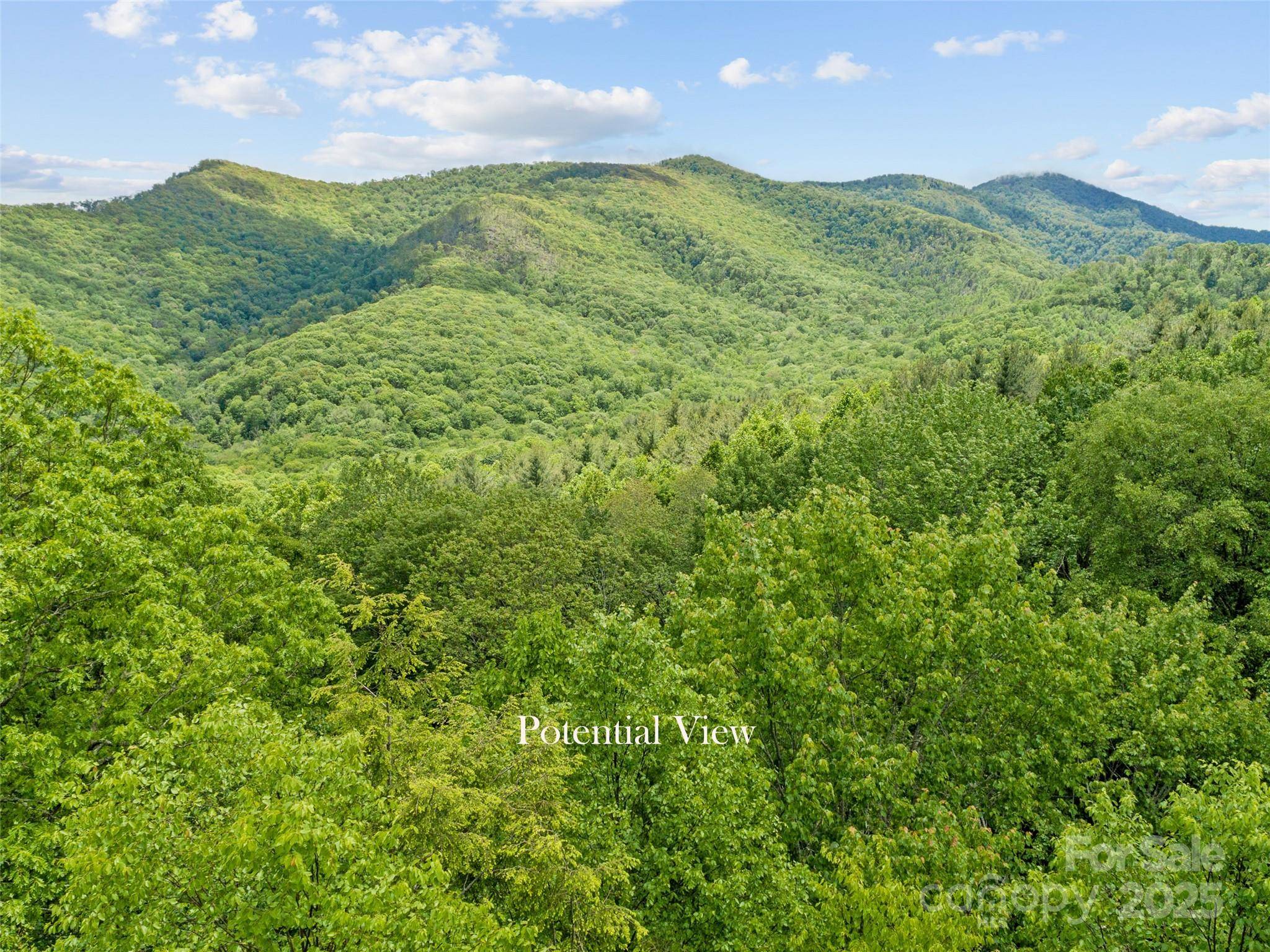 000 N Ridge Runner RD #92, Burnsville, NC 28714