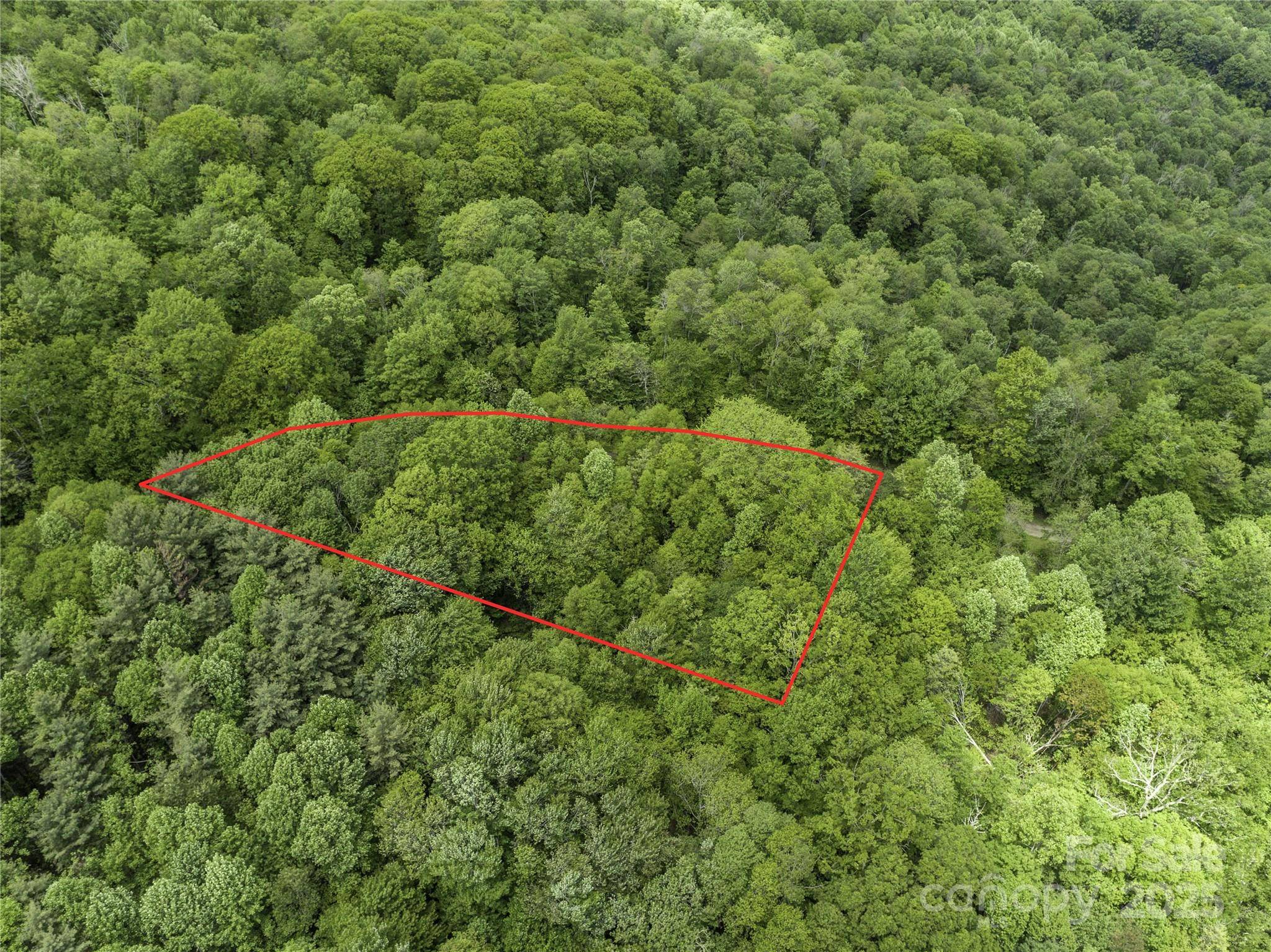 000 N Ridge Runner RD #92, Burnsville, NC 28714