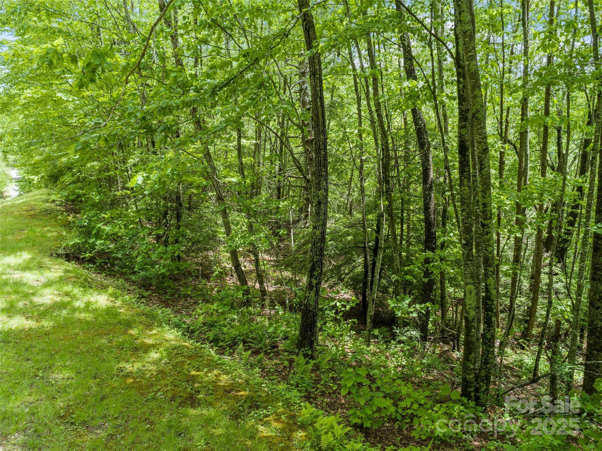 000 N Ridge Runner RD #92, Burnsville, NC 28714