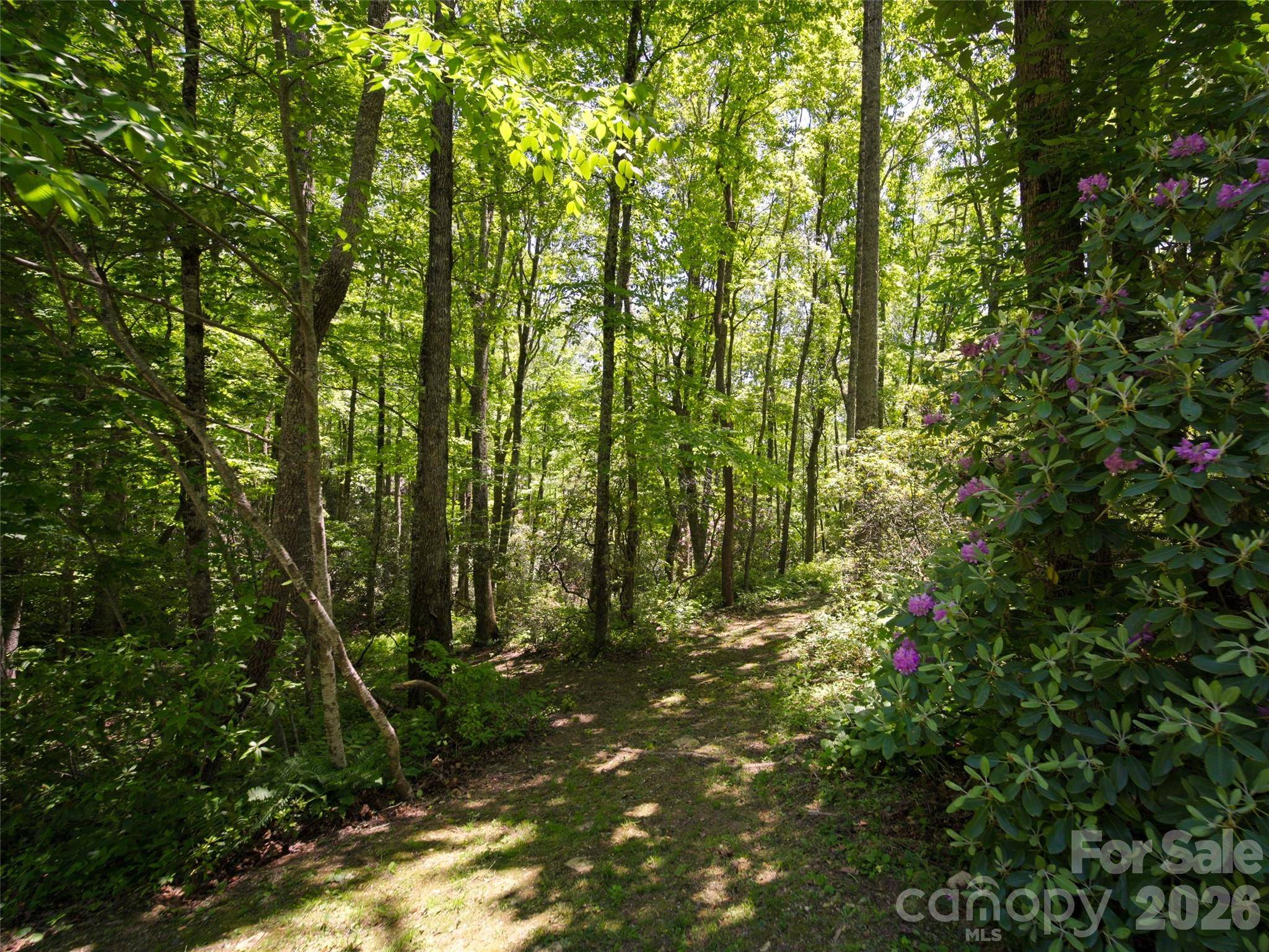 83 Waterstone DR #46, Hendersonville, NC 28792
