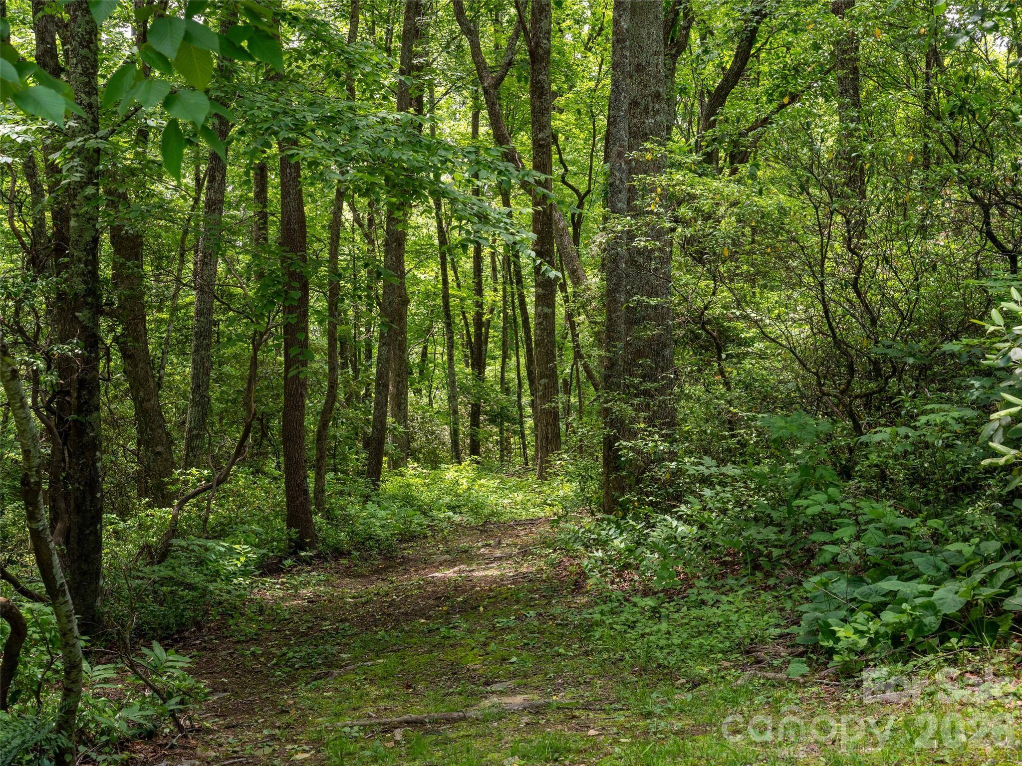83 Waterstone DR #46, Hendersonville, NC 28792