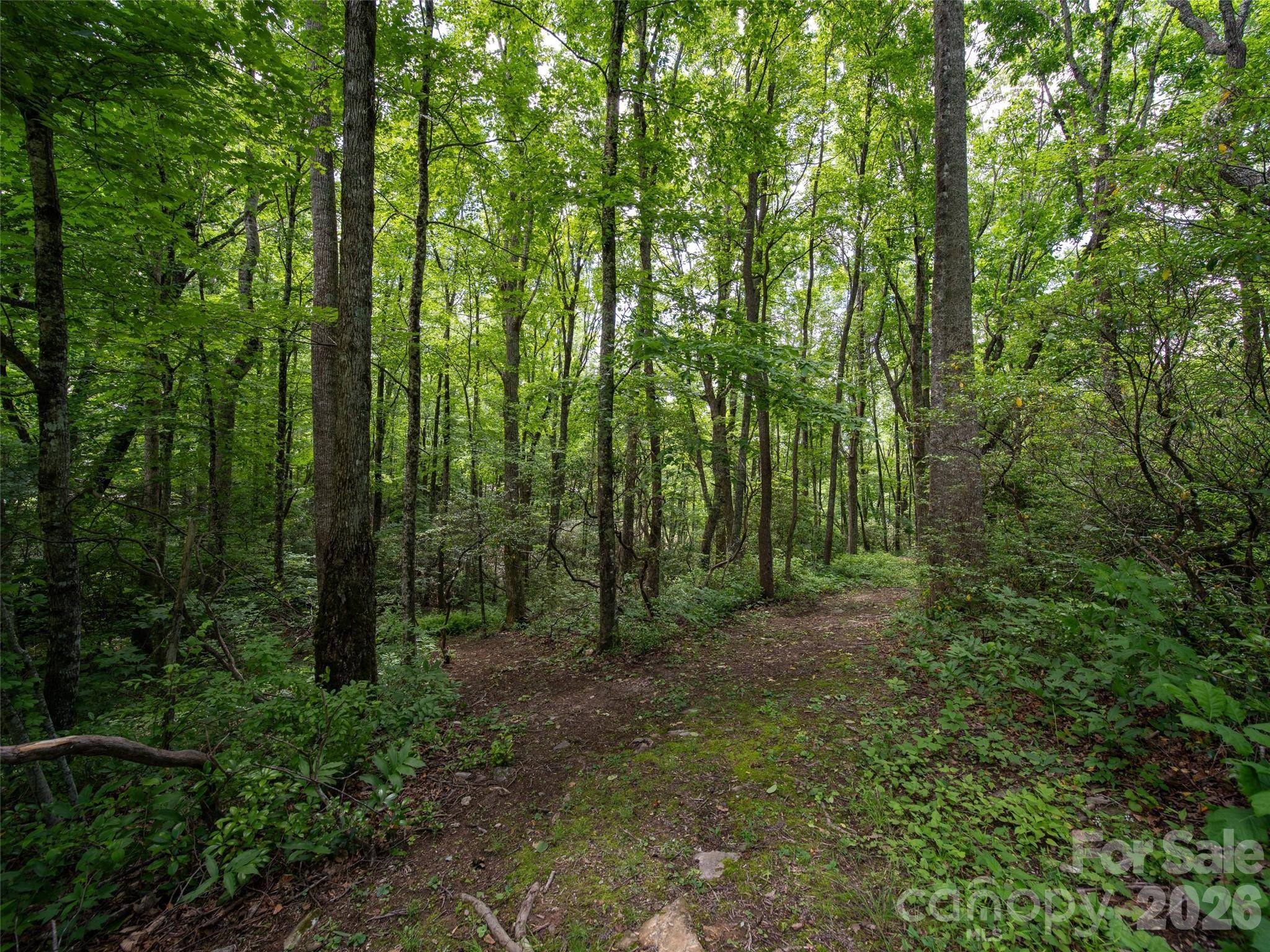83 Waterstone DR #46, Hendersonville, NC 28792