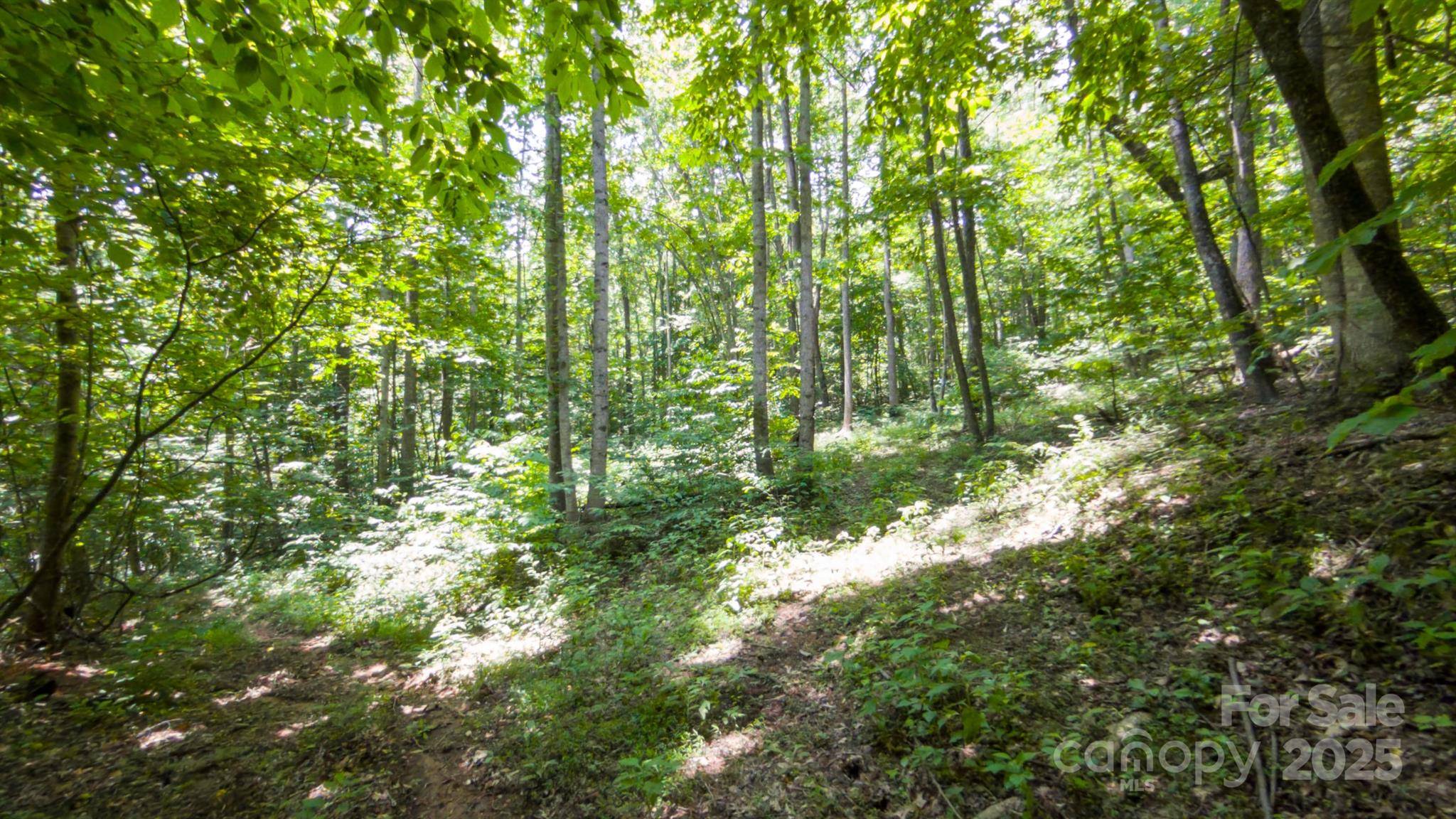 00 Hendren RD, Moravian Falls, NC 28654