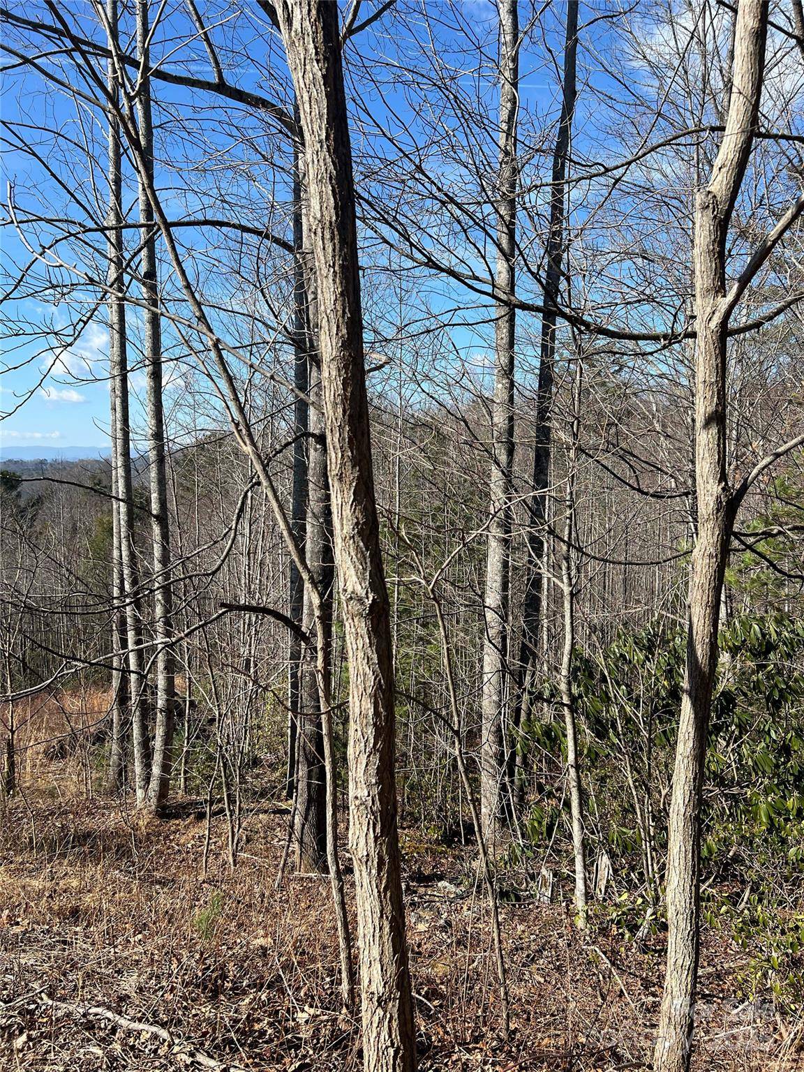 Lot# 130 Terra Vista DR, Lenoir, NC 28645