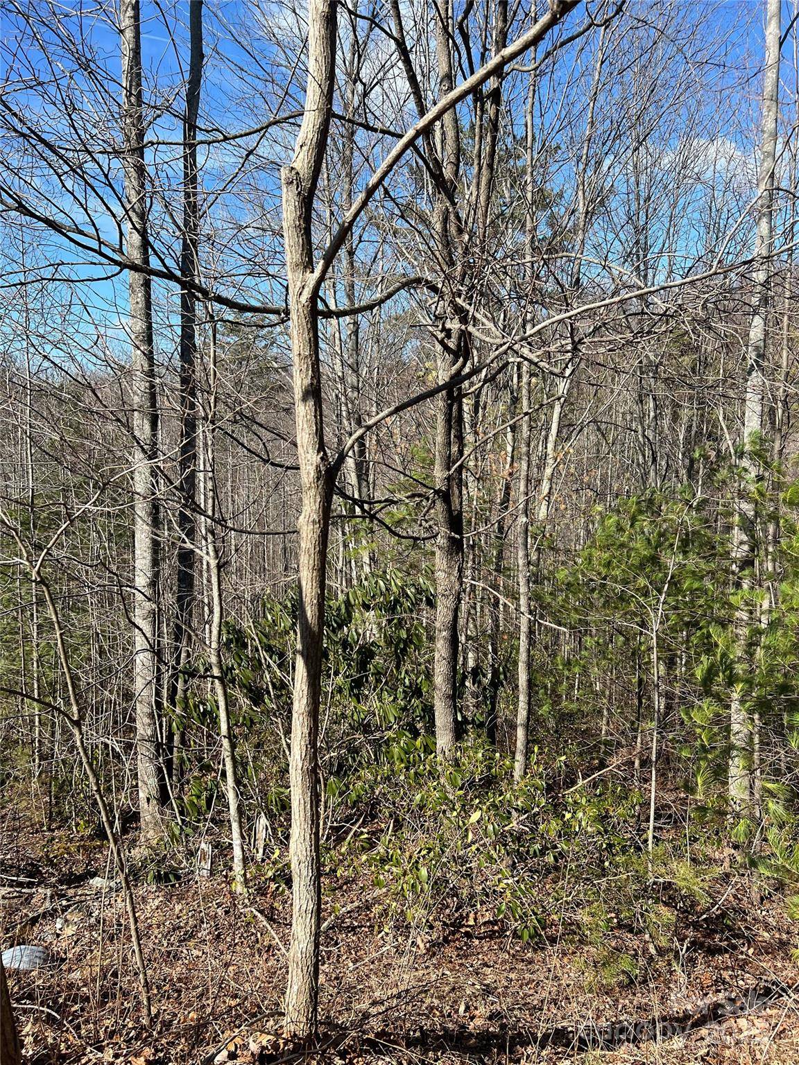 Lot# 130 Terra Vista DR, Lenoir, NC 28645