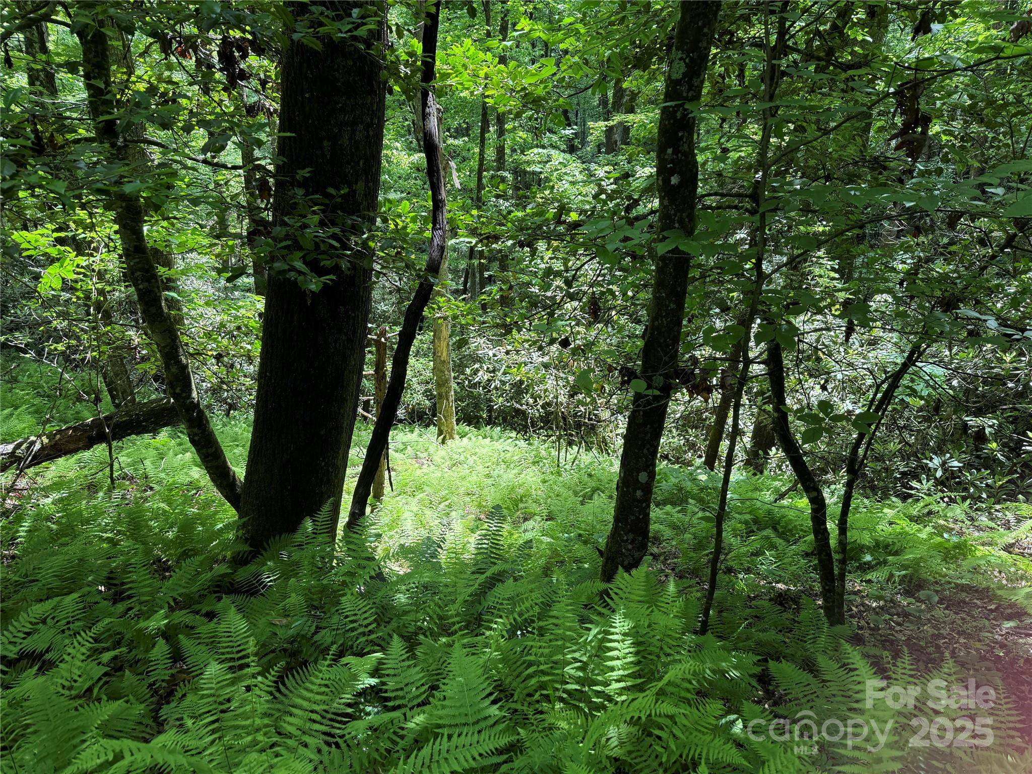 TBD Caroline LN #7R, Pisgah Forest, NC 28768