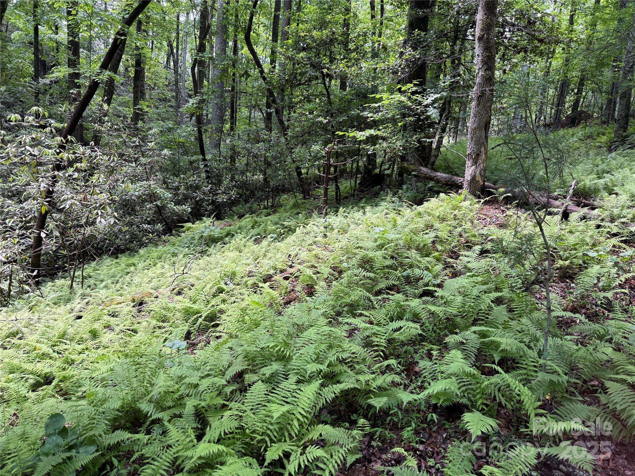 TBD Caroline LN #7R, Pisgah Forest, NC 28768