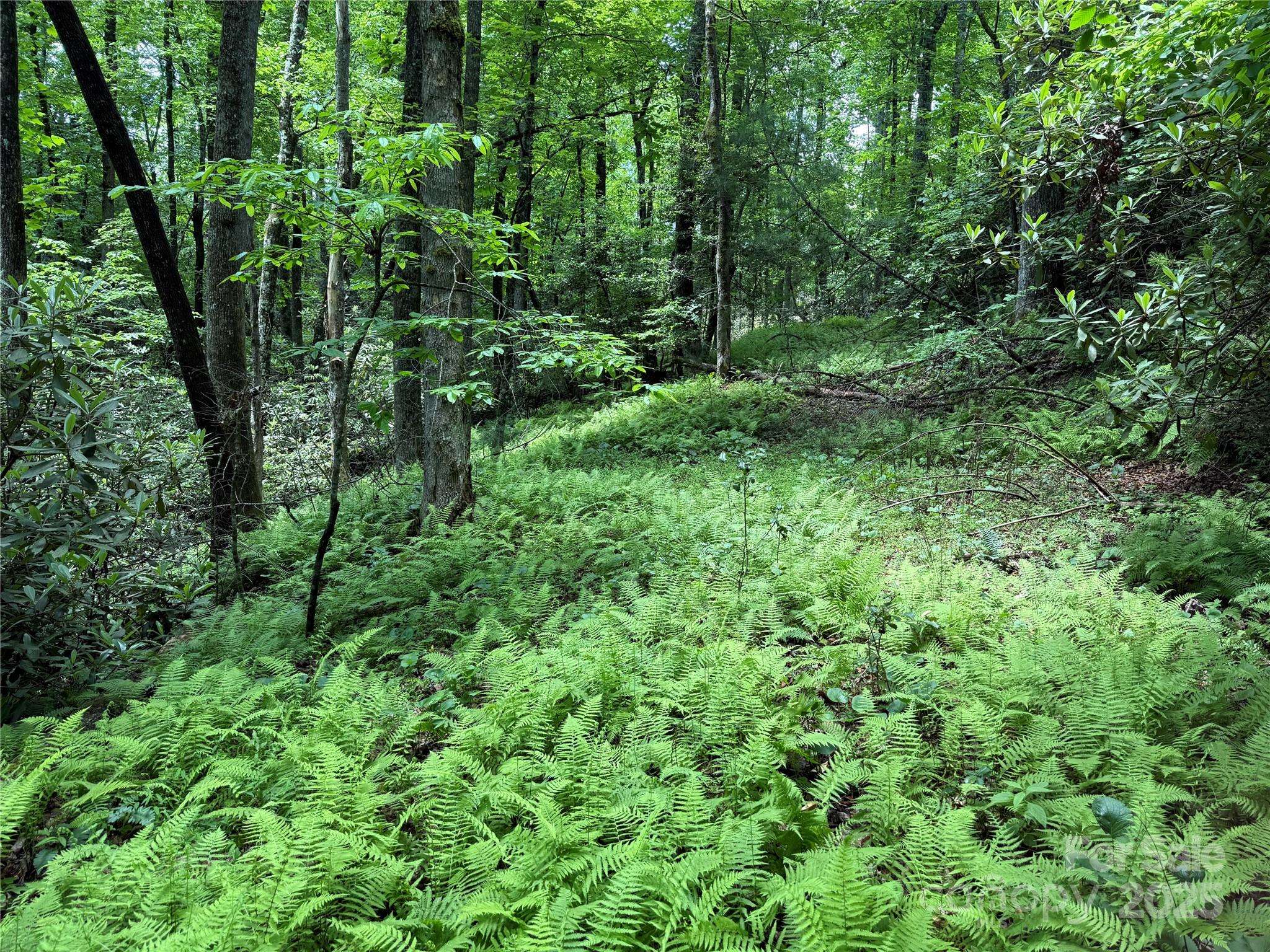 TBD Caroline LN #7R, Pisgah Forest, NC 28768