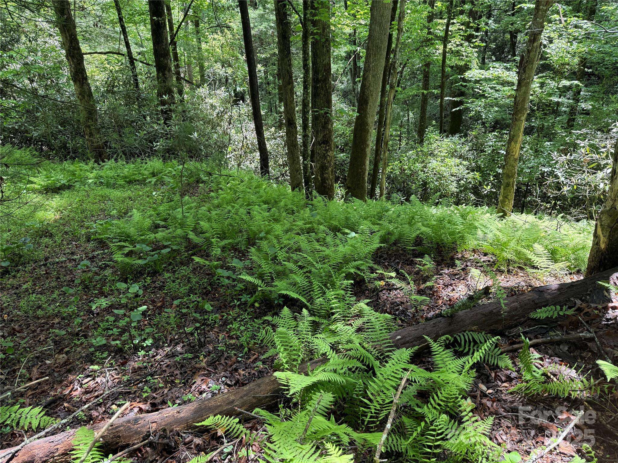 TBD Caroline LN #7R, Pisgah Forest, NC 28768