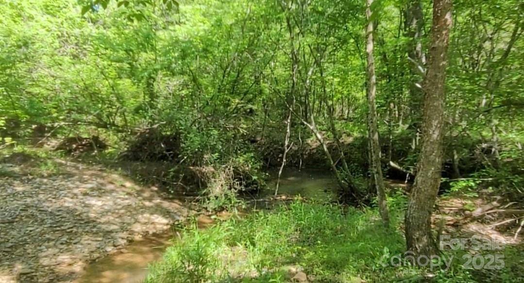 0 Big Level RD, Mill Spring, NC 28756