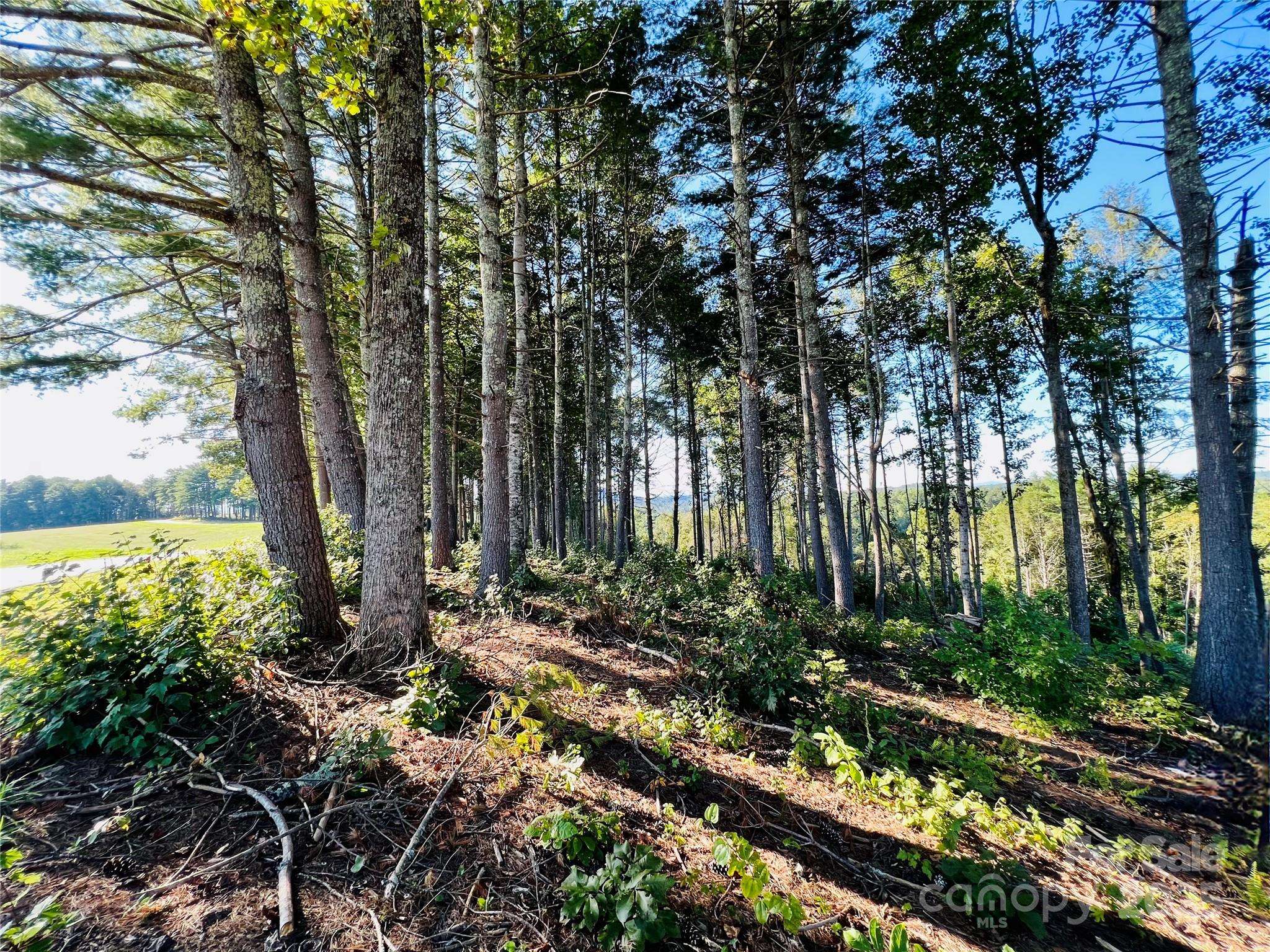 2.07 acres, 2058 Thoroughbred WAY #G16, Lenoir, NC 28645