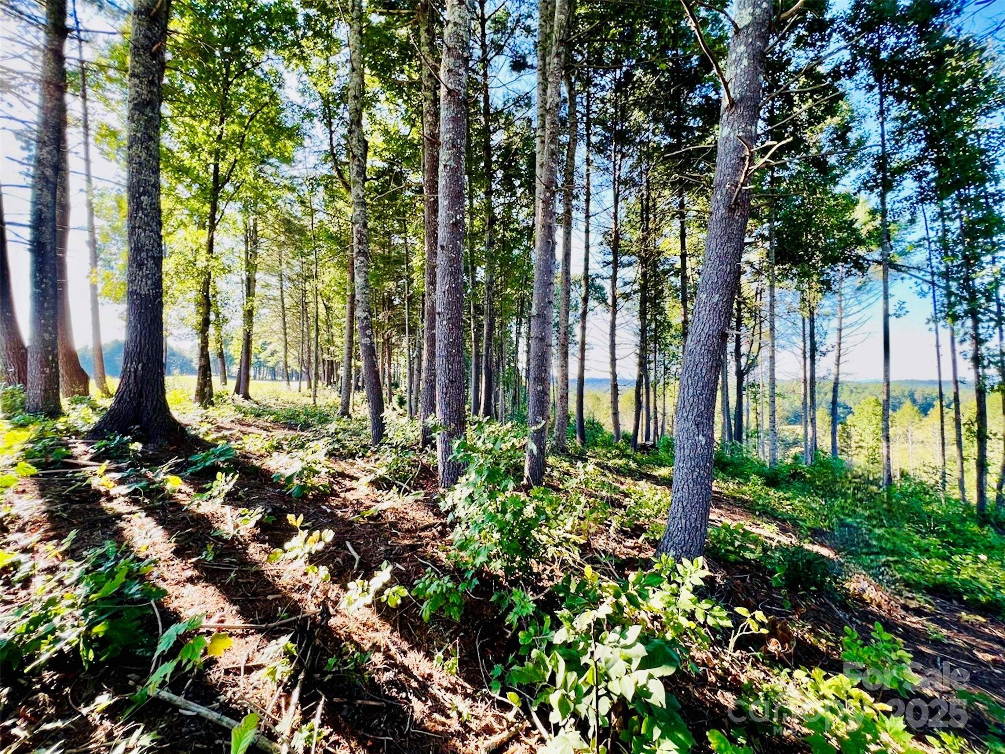 2.07 acres, 2058 Thoroughbred WAY #G16, Lenoir, NC 28645