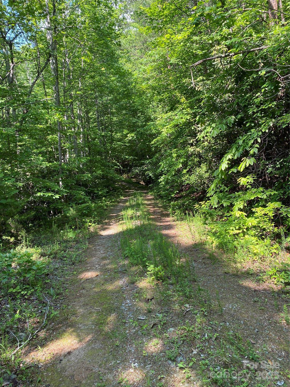 0 Falcons AVE #12, Lake Lure, NC 28746