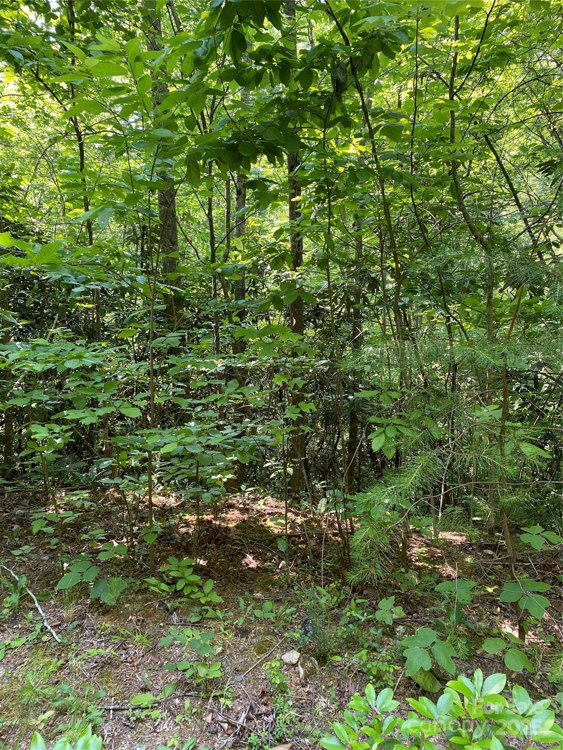 0 Falcons AVE #12, Lake Lure, NC 28746