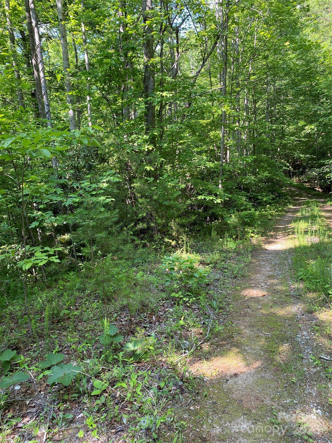 0 Falcons AVE #12, Lake Lure, NC 28746