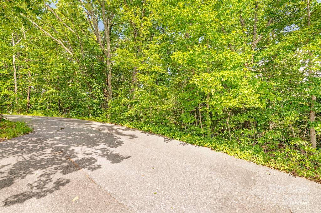 99999 Pheasant Ridge RD #14, Fairview, NC 28730