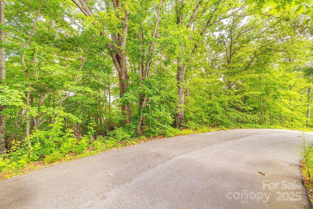 99999 Pheasant Ridge RD #14, Fairview, NC 28730
