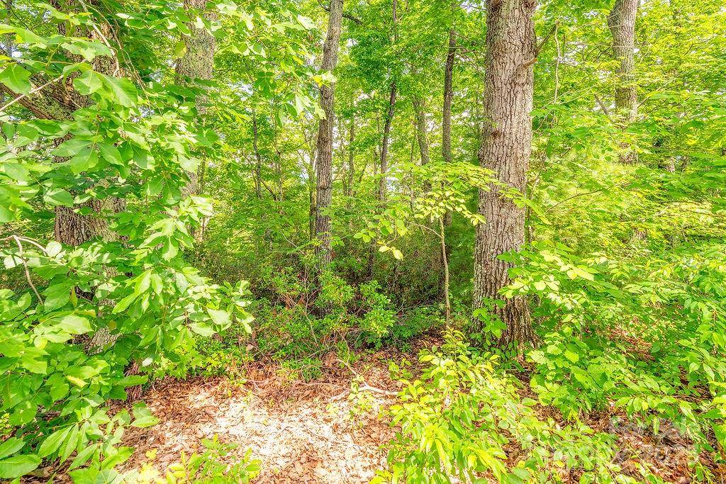99999 Pheasant Ridge RD #14, Fairview, NC 28730