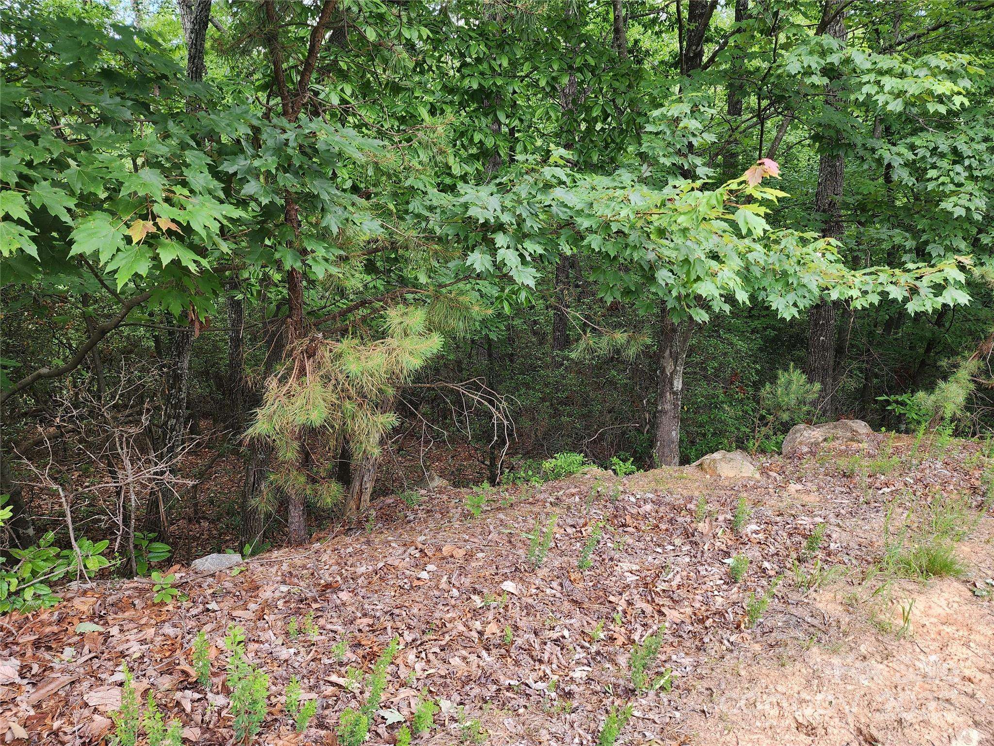 TBD Derby Chase CT, Mcgrady, NC 28649