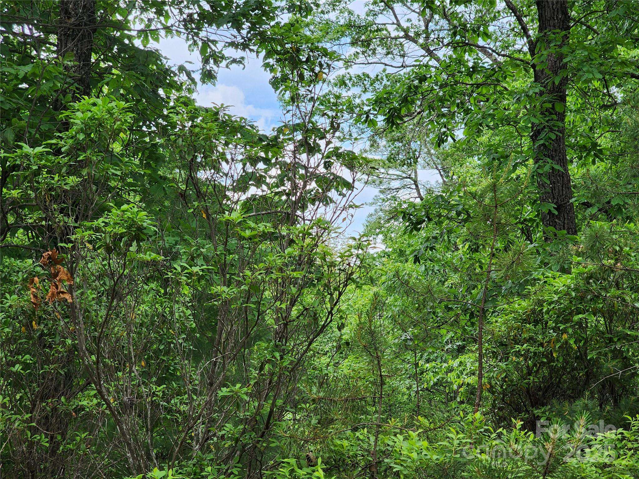 TBD Derby Chase CT, Mcgrady, NC 28649