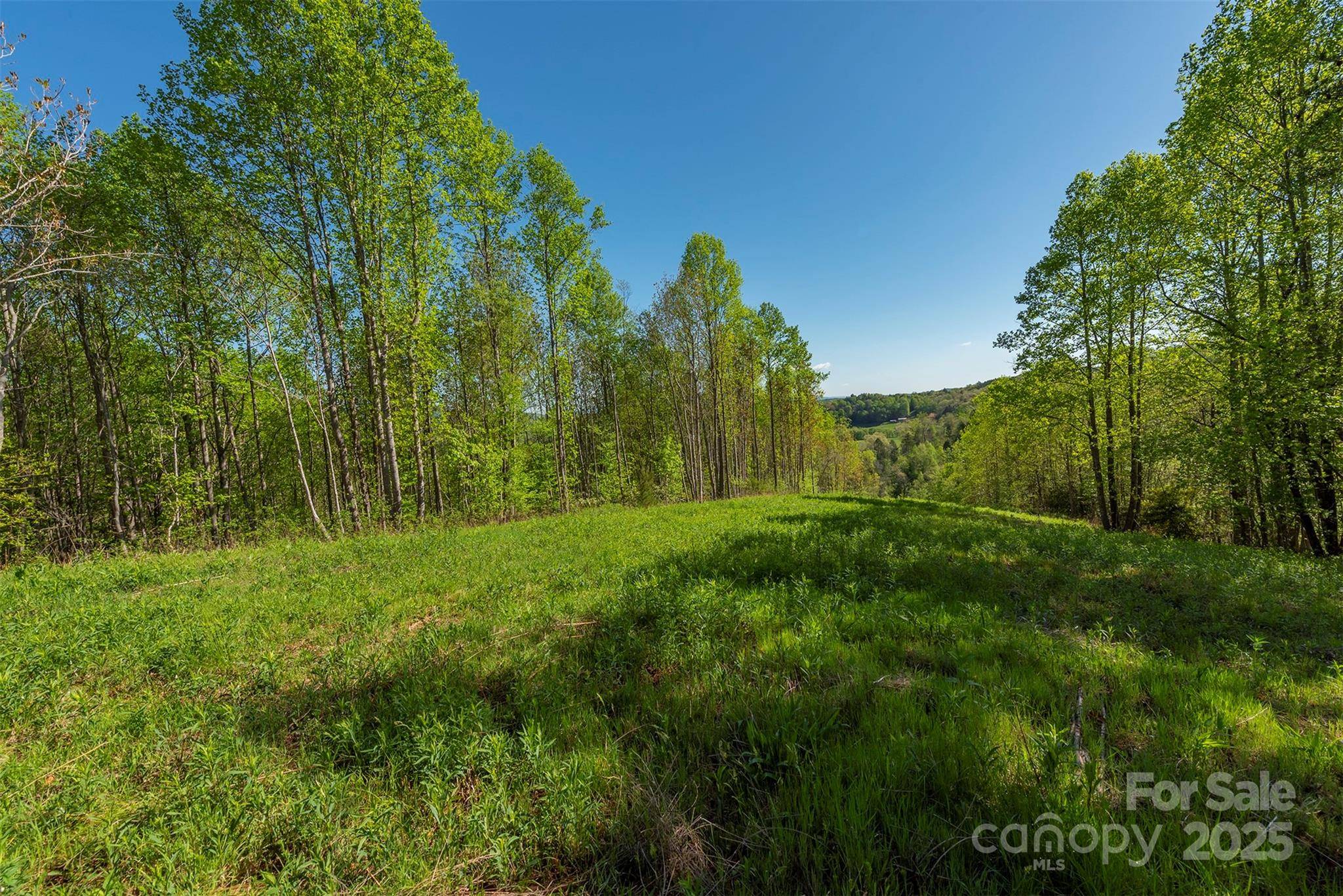 000 Thousand Oaks DR, Old Fort, NC 28752
