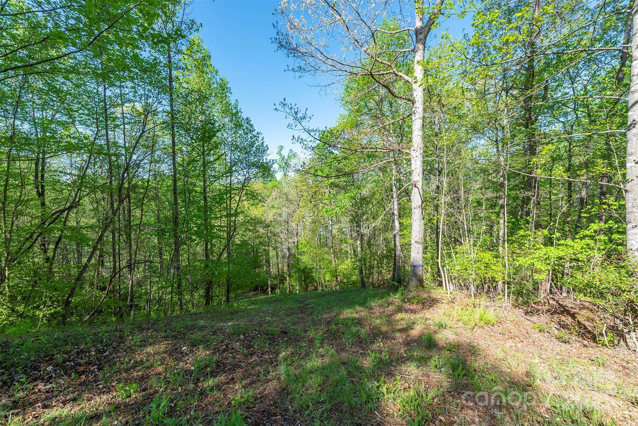 000 Thousand Oaks DR, Old Fort, NC 28752