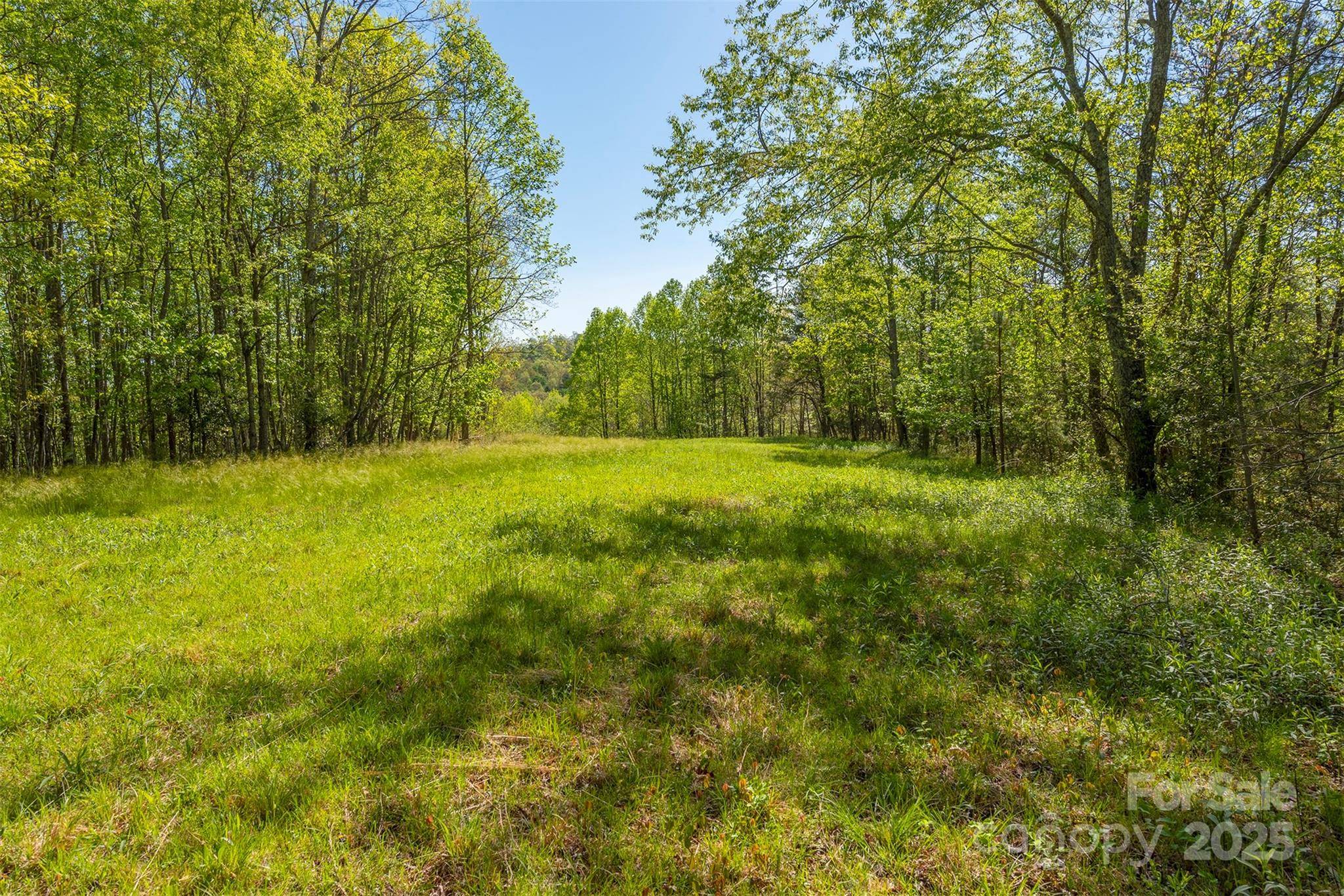 000 Thousand Oaks DR, Old Fort, NC 28752