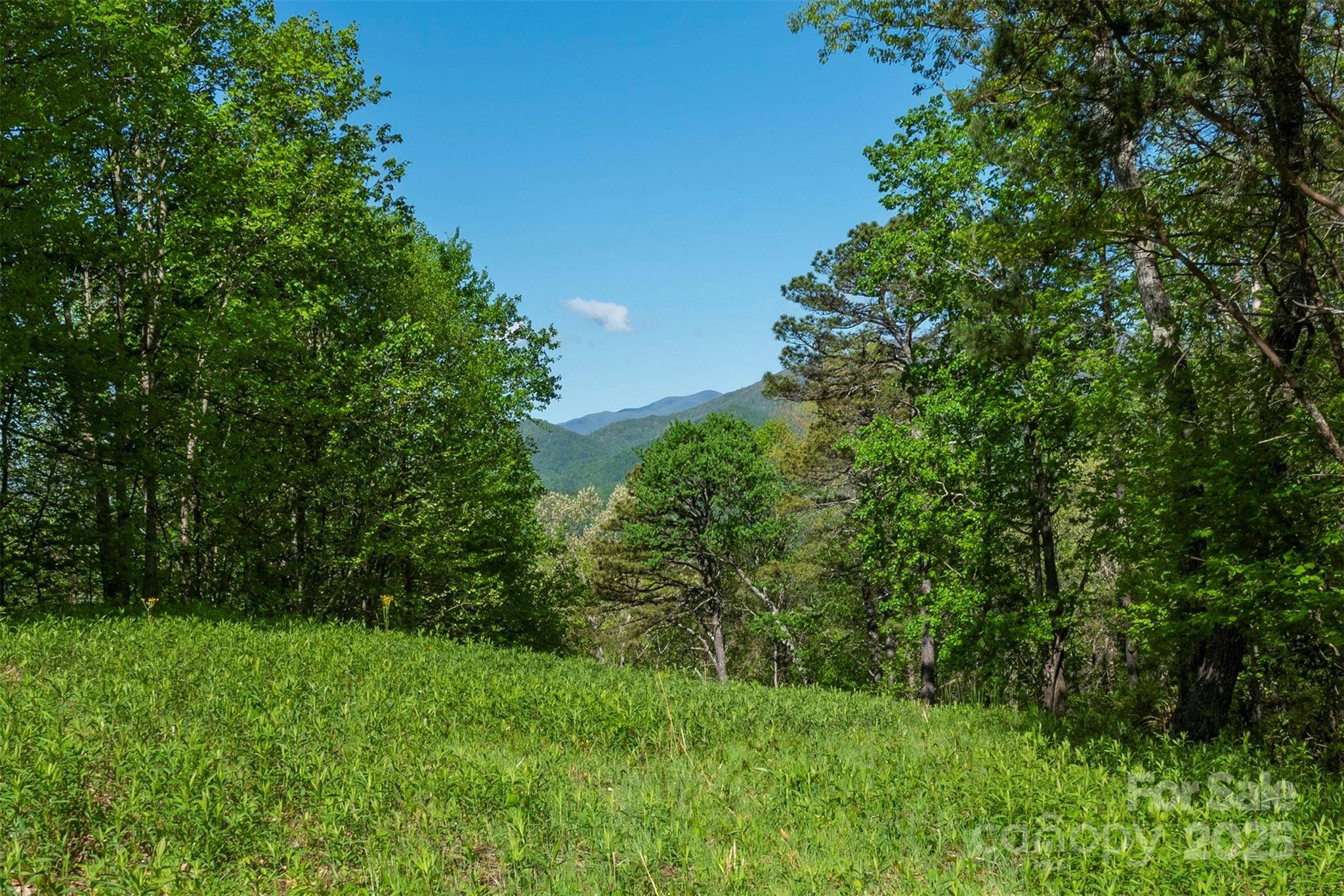 000 Thousand Oaks DR, Old Fort, NC 28752