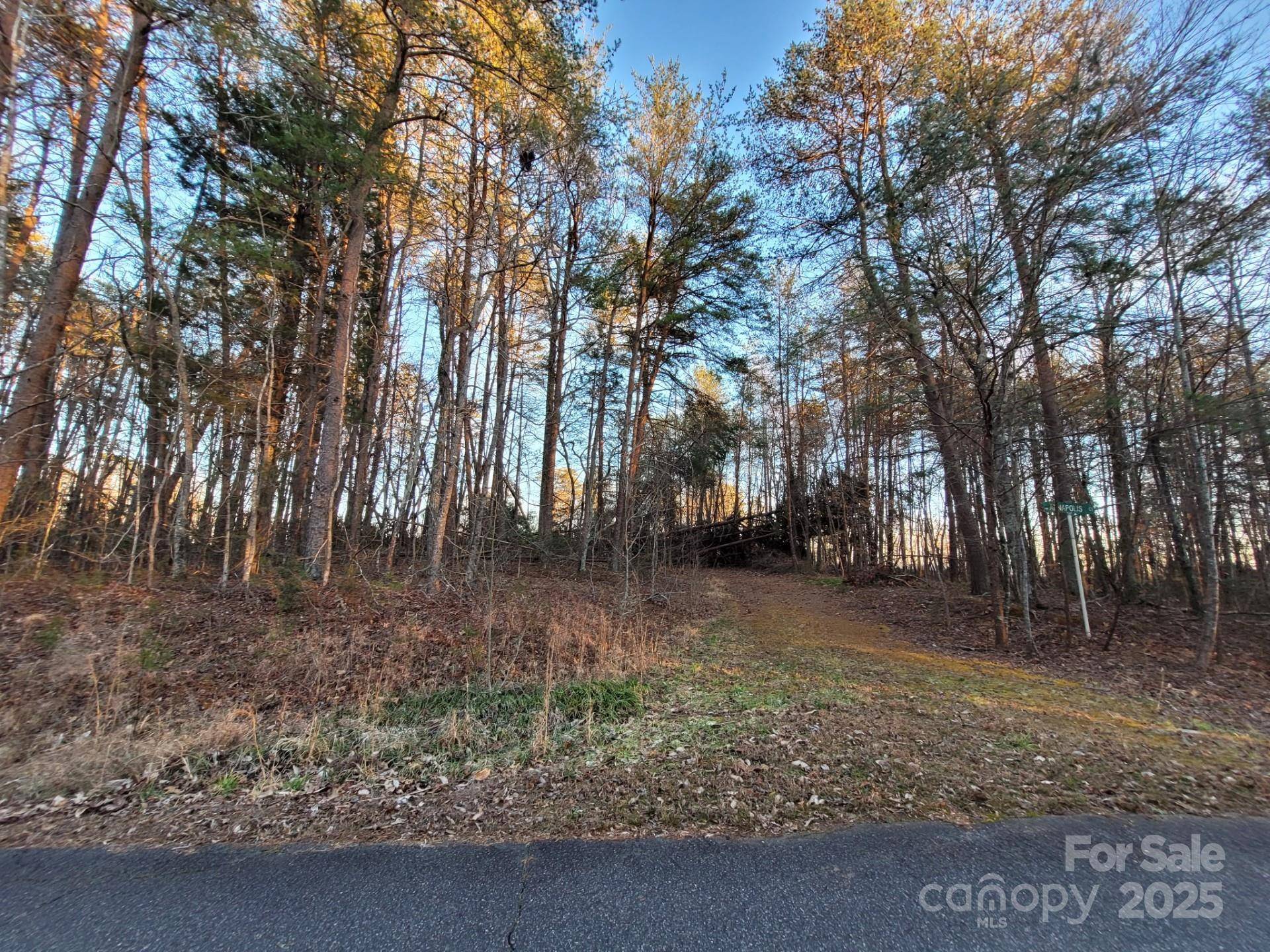 00 Washburn LN, Rutherfordton, NC 28139