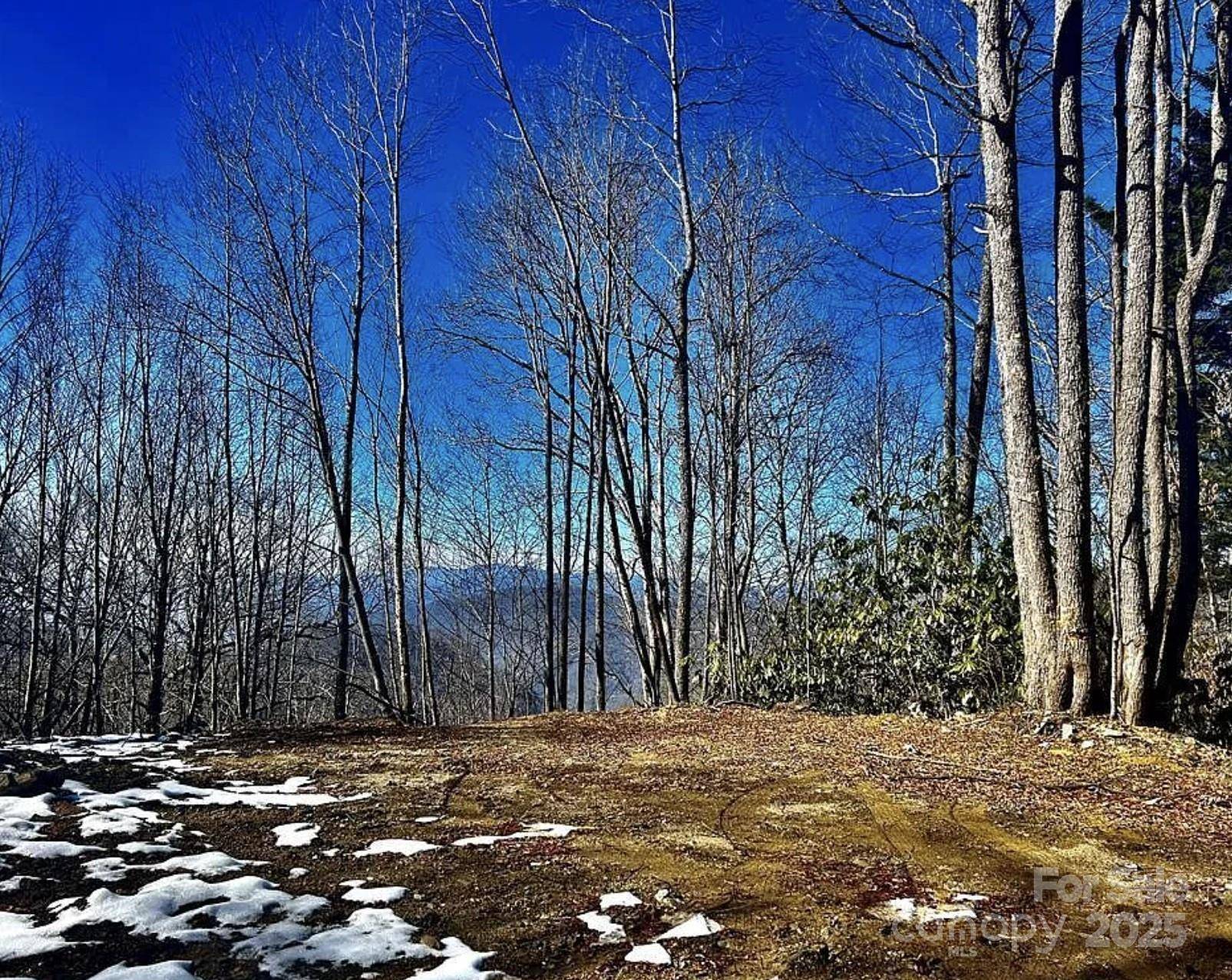 3837 & 3689 Plott Balsam RD, Maggie Valley, NC 28751