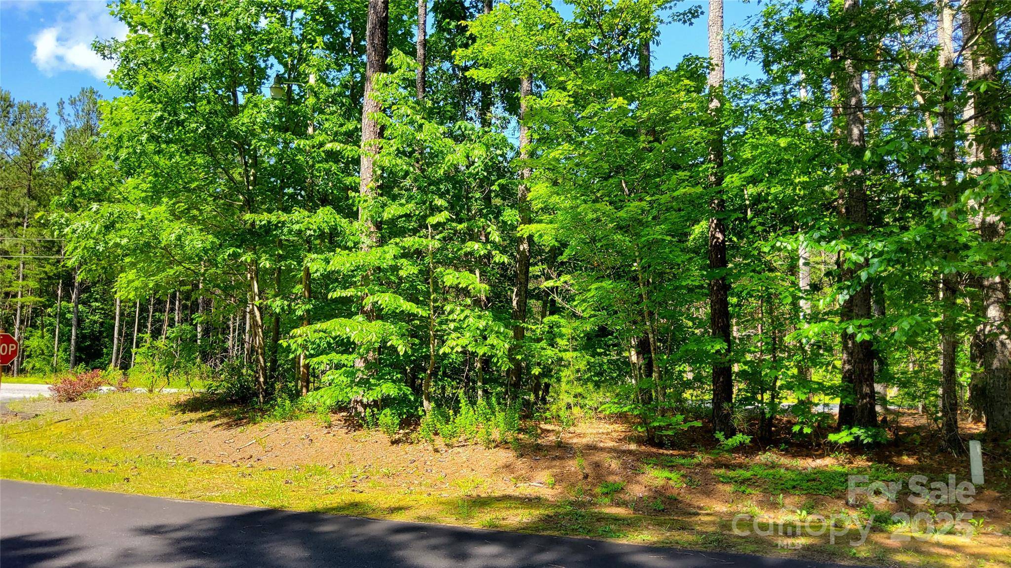 0000 Loblolly LN #24/23/22, Mill Spring, NC 28756