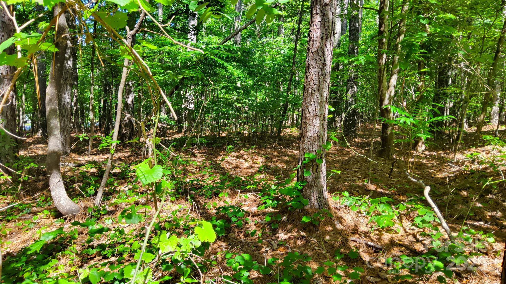 0000 Loblolly LN #24/23/22, Mill Spring, NC 28756