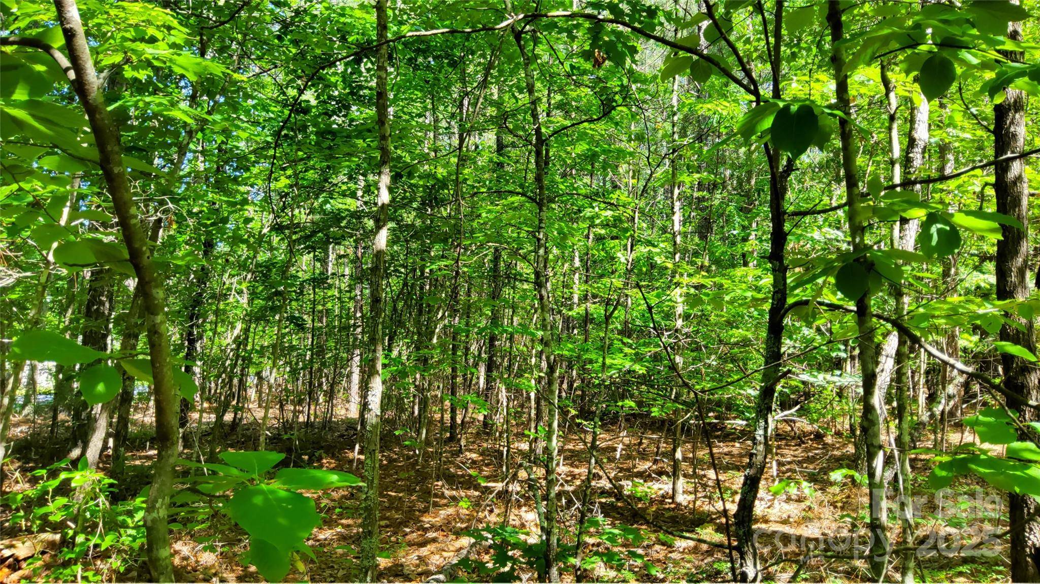 0000 Loblolly LN #24/23/22, Mill Spring, NC 28756