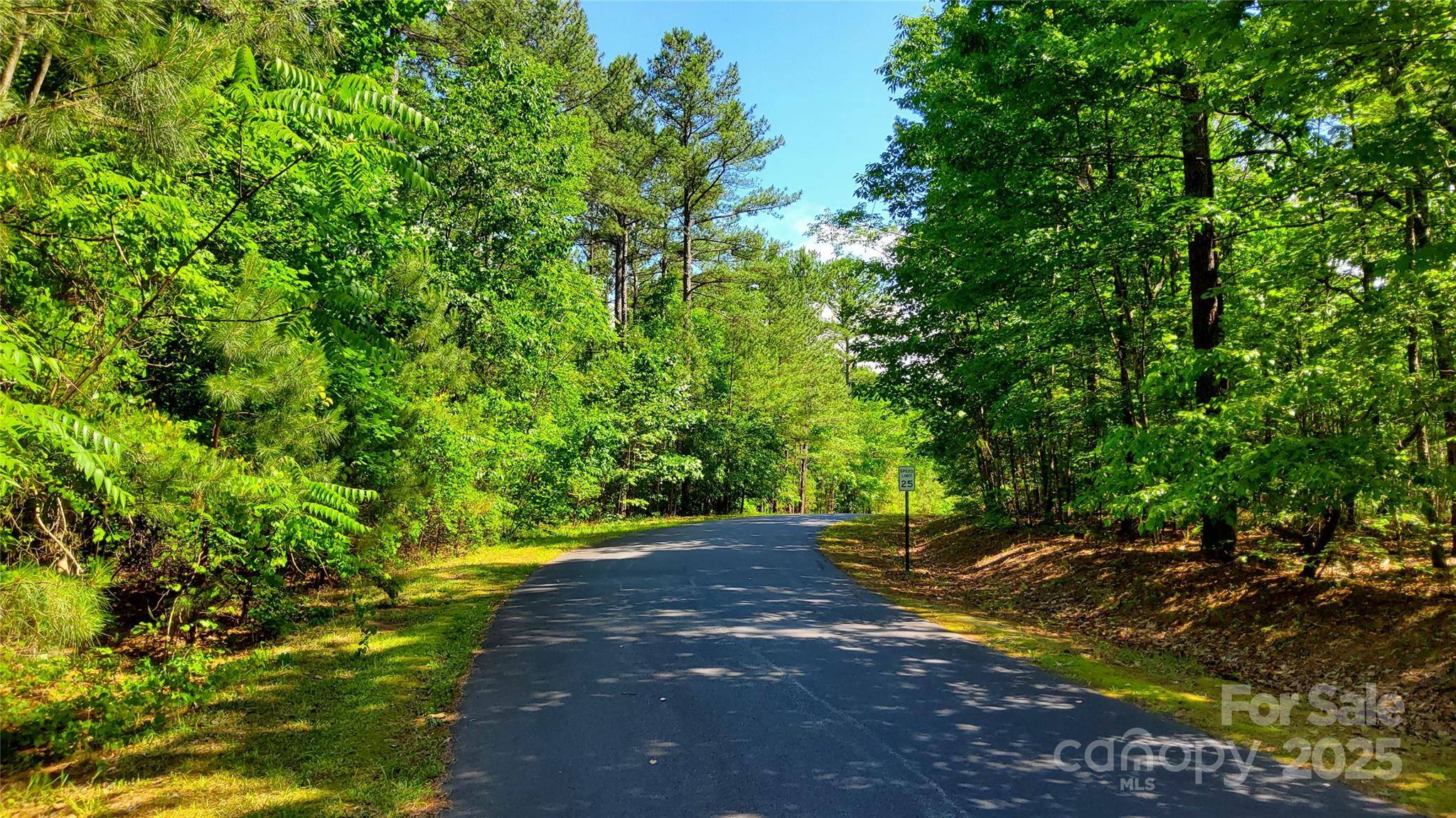0000 Loblolly LN #24/23/22, Mill Spring, NC 28756