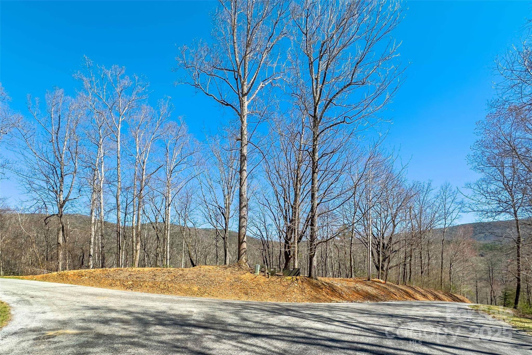 Lot# 158 Hunnicut Mountain RD, Marion, NC 28752