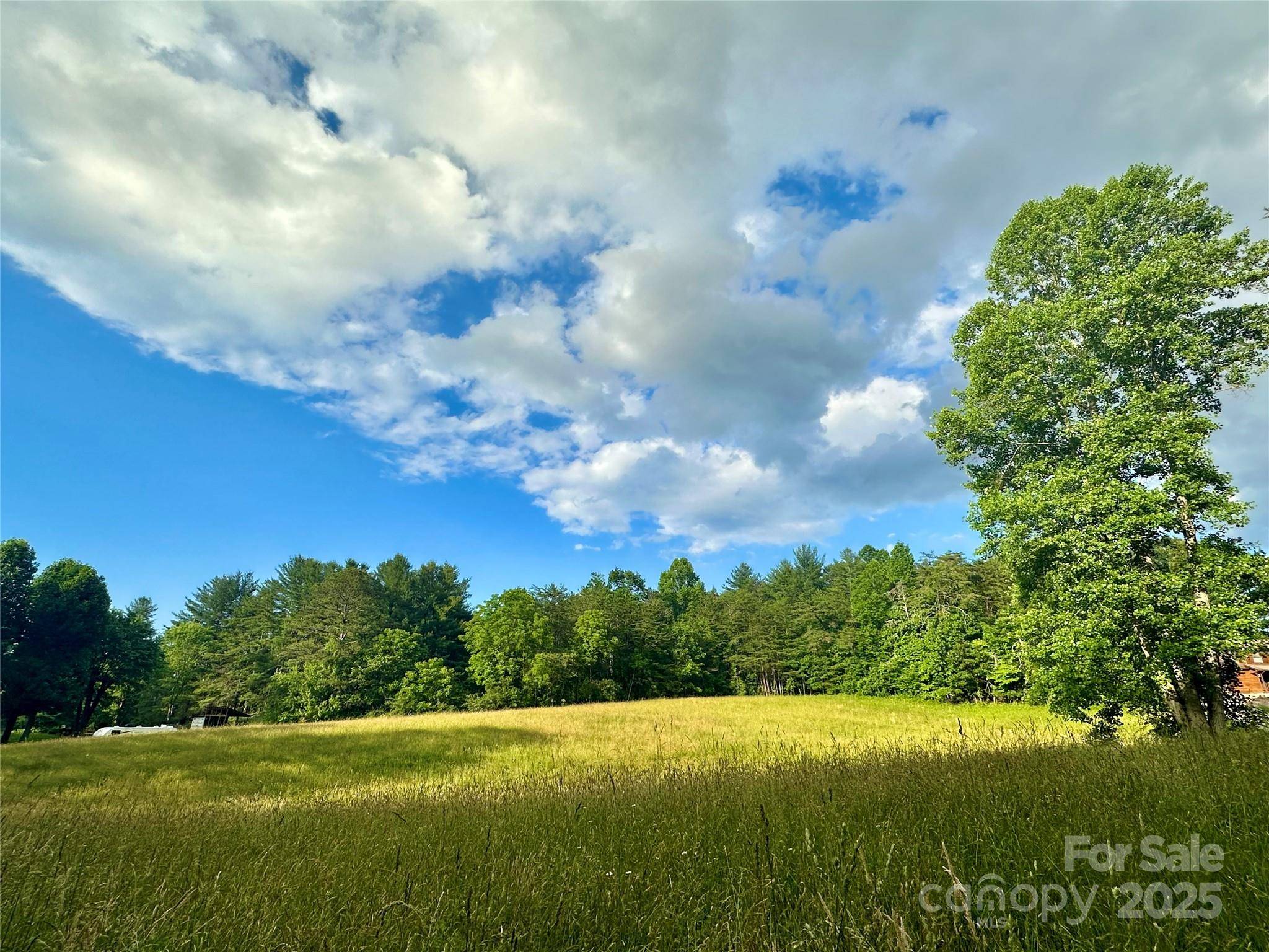 99999 Jenkins Valley RD, Alexander, NC 28701