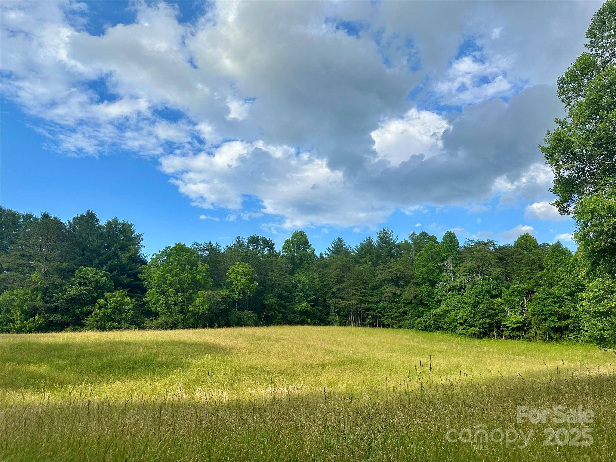 99999 Jenkins Valley RD, Alexander, NC 28701