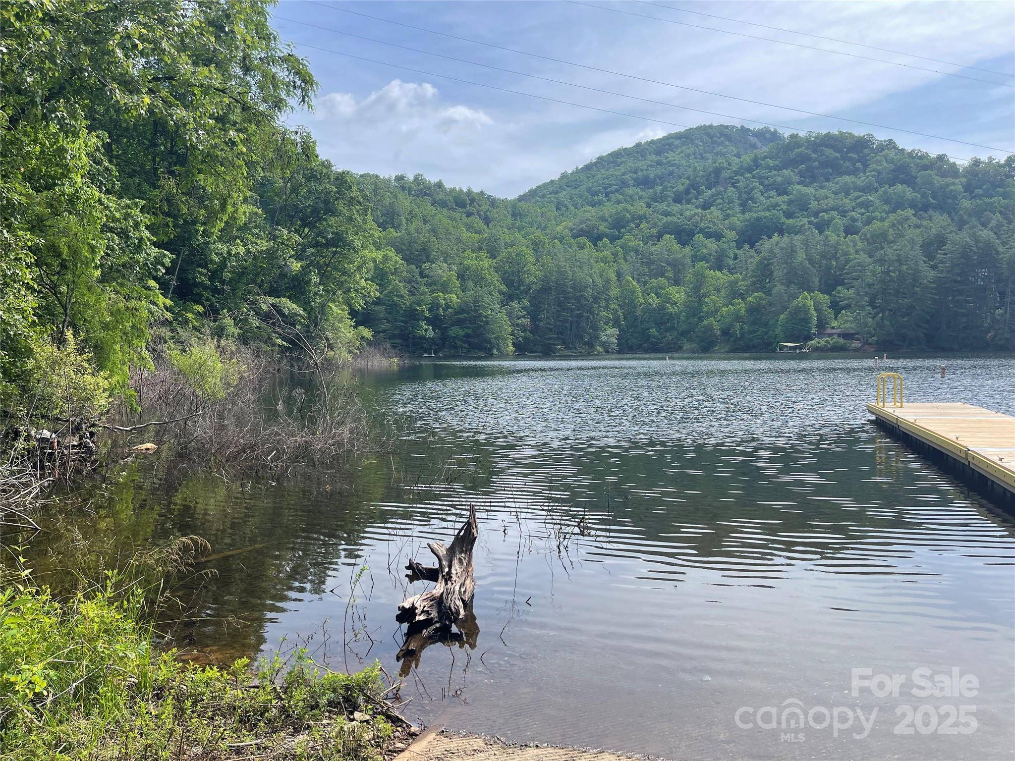 2642 Canada RD, Tuckasegee, NC 28783