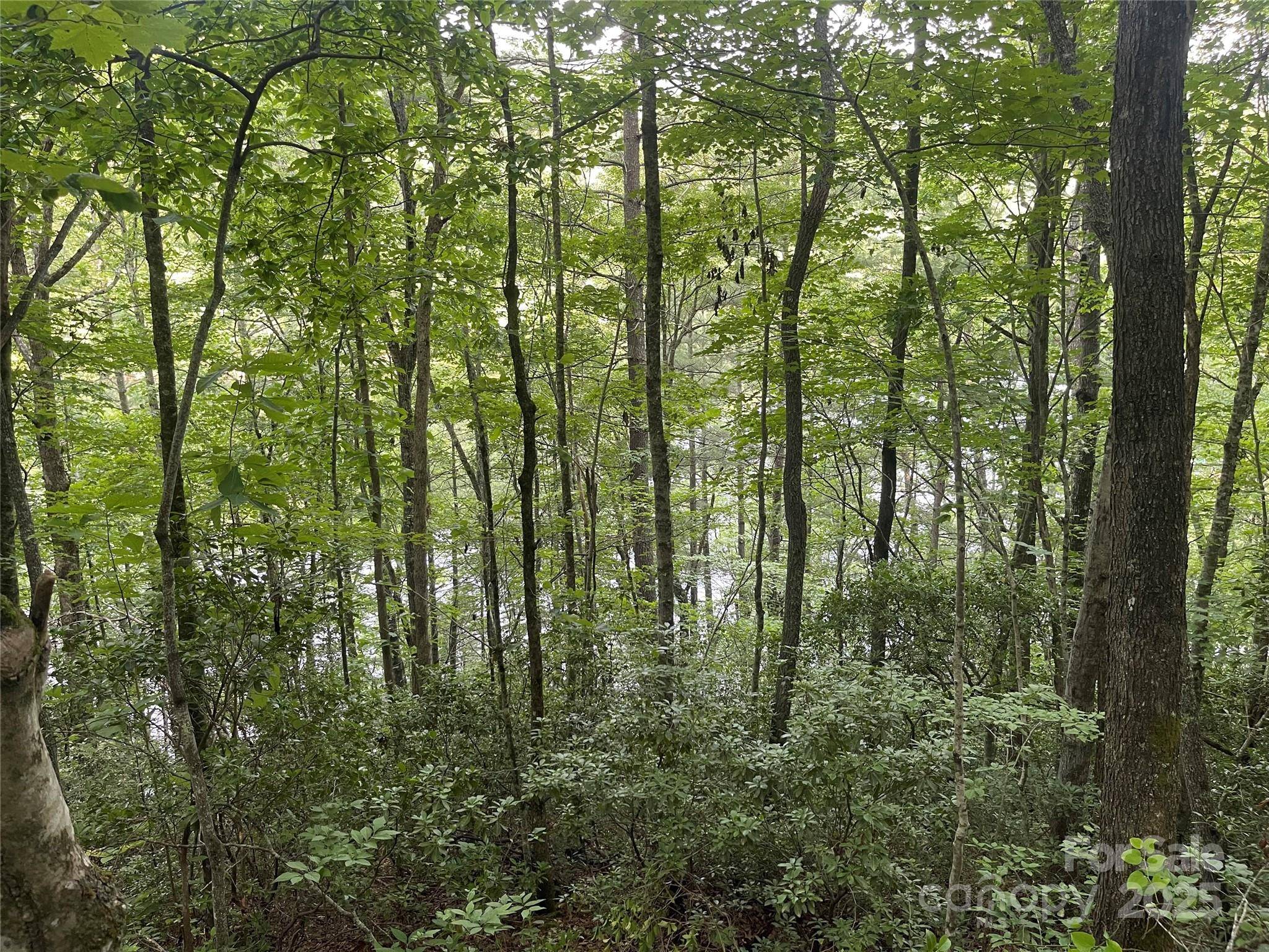2642 Canada RD, Tuckasegee, NC 28783