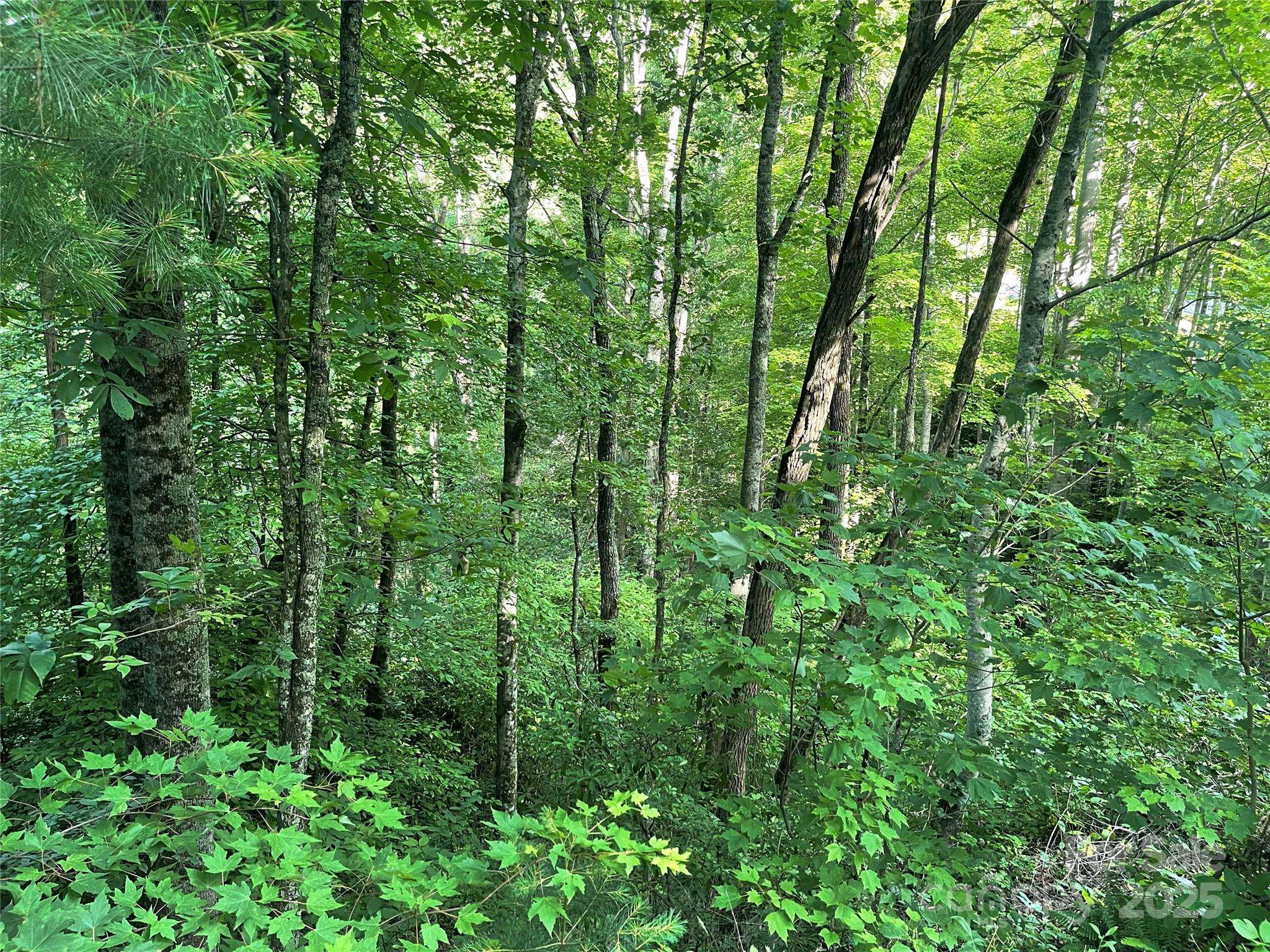 2600 Canada RD, Tuckasegee, NC 28783